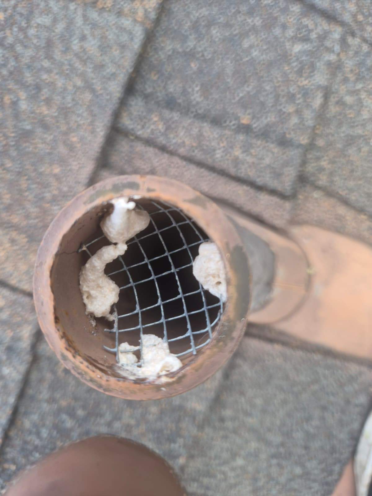 Project in Los Angeles by Advanced Attic Solutions