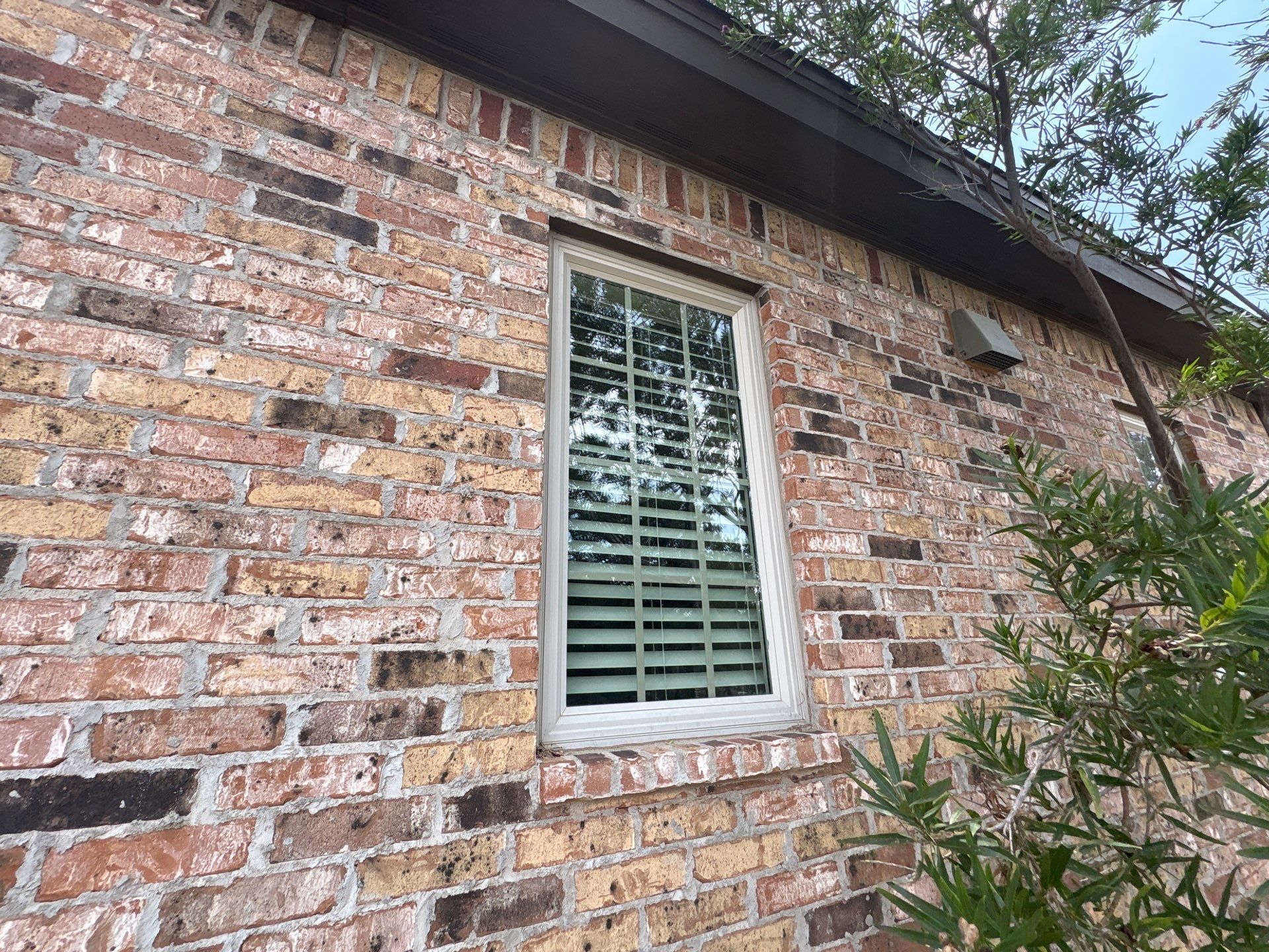 Something else by Storm Guard of Lubbock