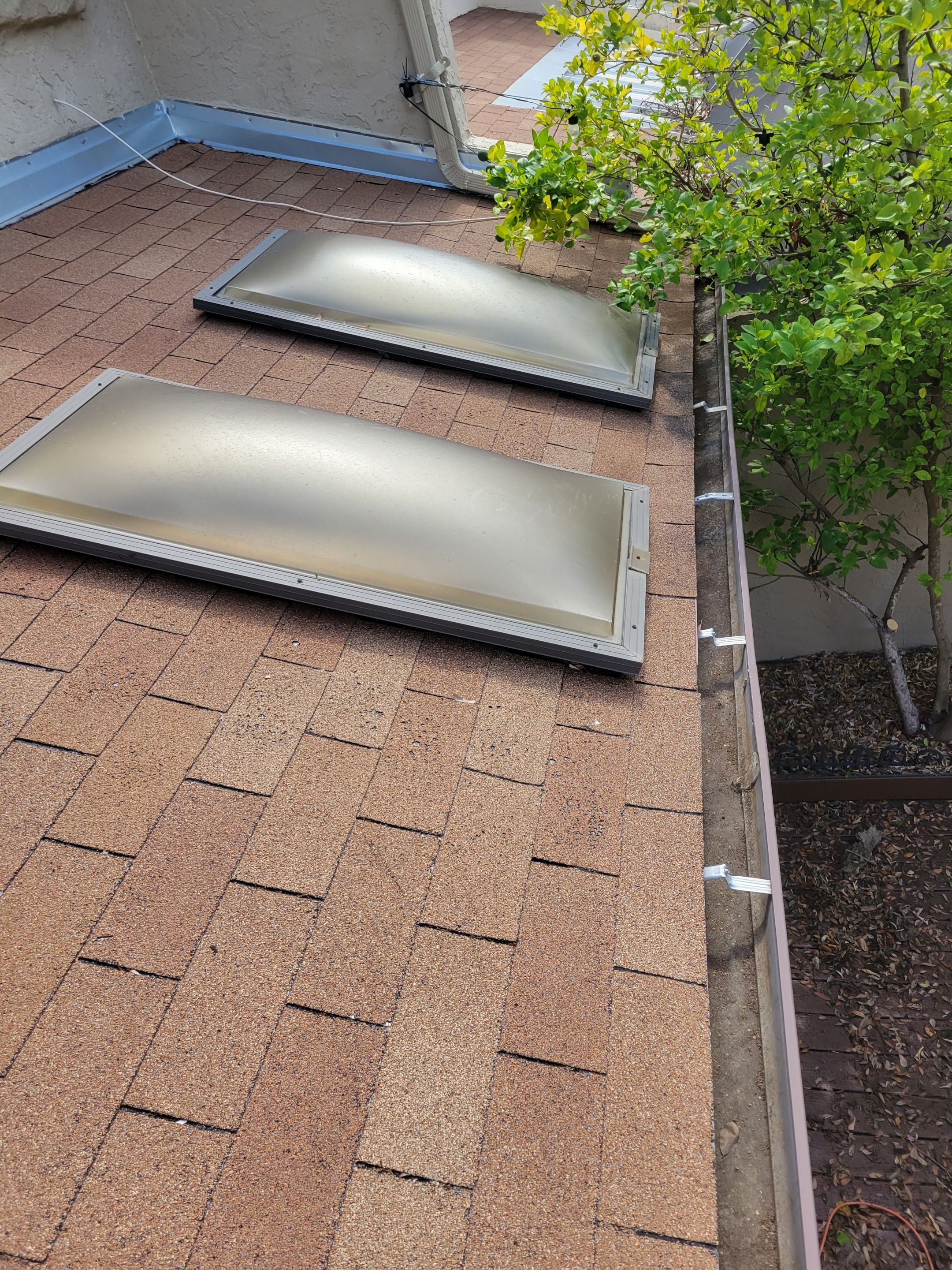 Gutter Cleaning and Inspection in Tampa FL by Gutter Professors