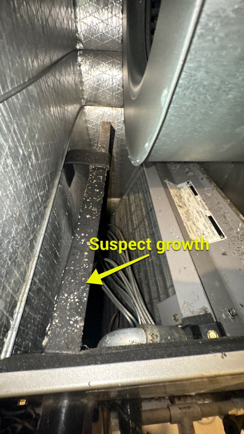 Air Duct Cleaning in Groveland by Hygienic Air, Inc