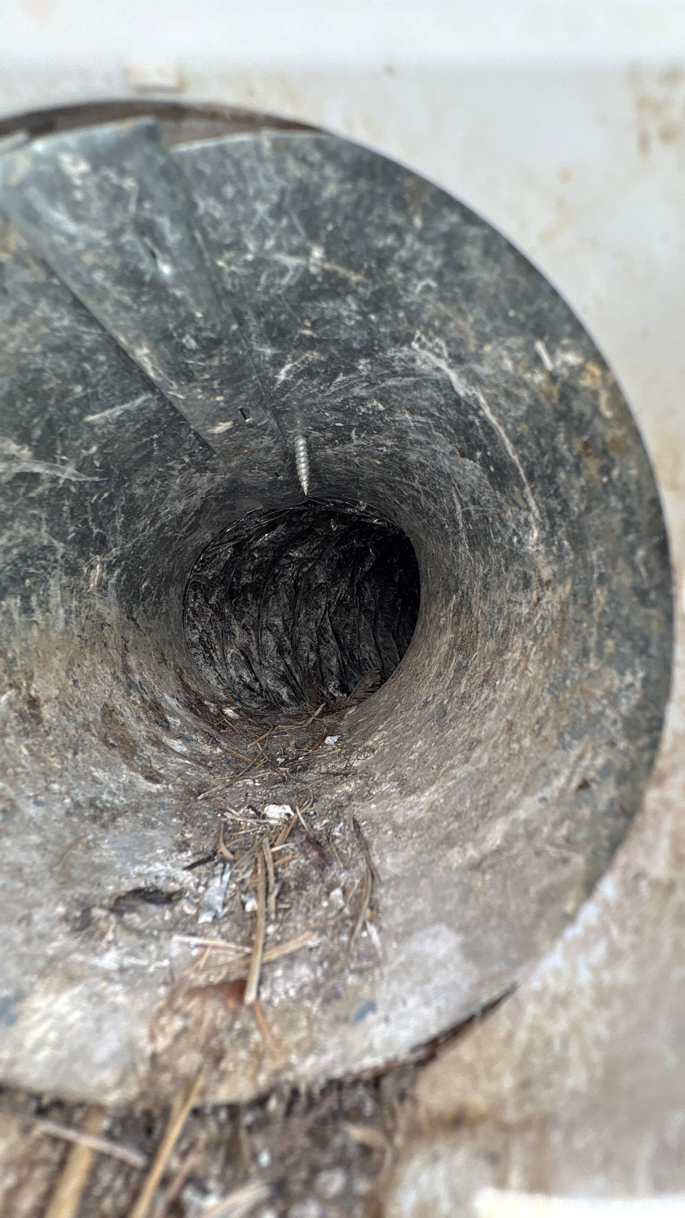 Dryer Vent Cleaning & Vent Replacement by Superior Air Duct Cleaning