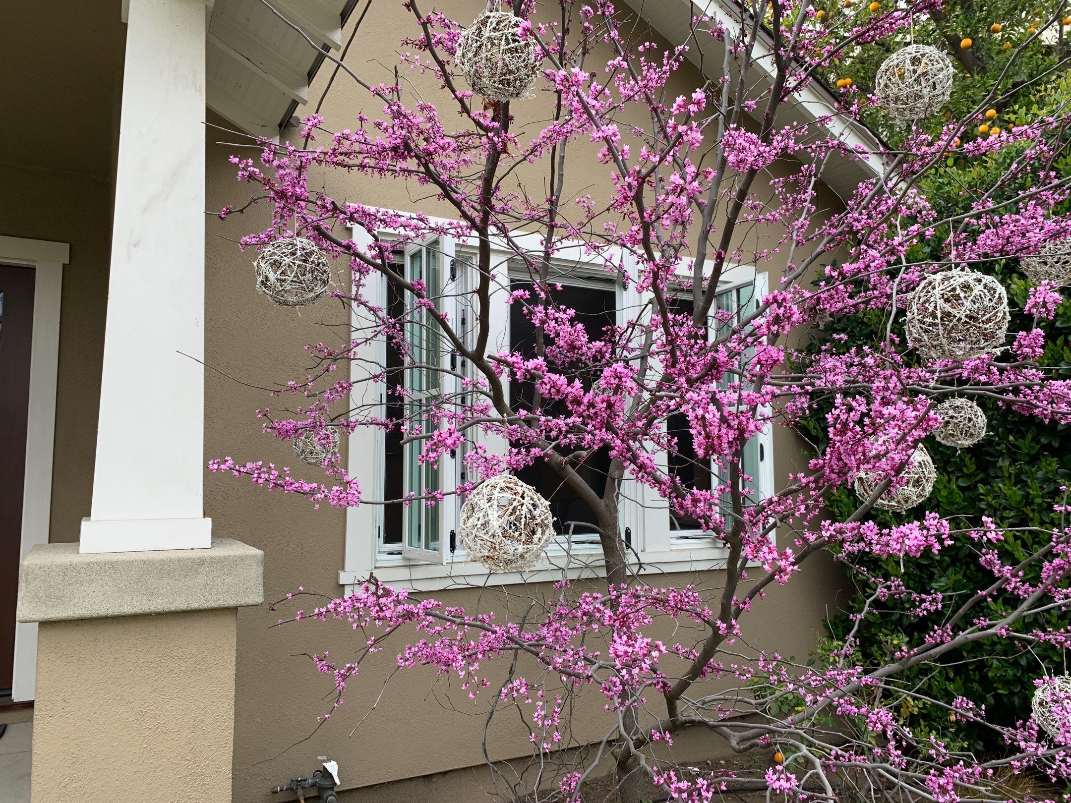 Window Installation using Milgard Ultra series, Fiberglass windows with SDL grids by American Window Company