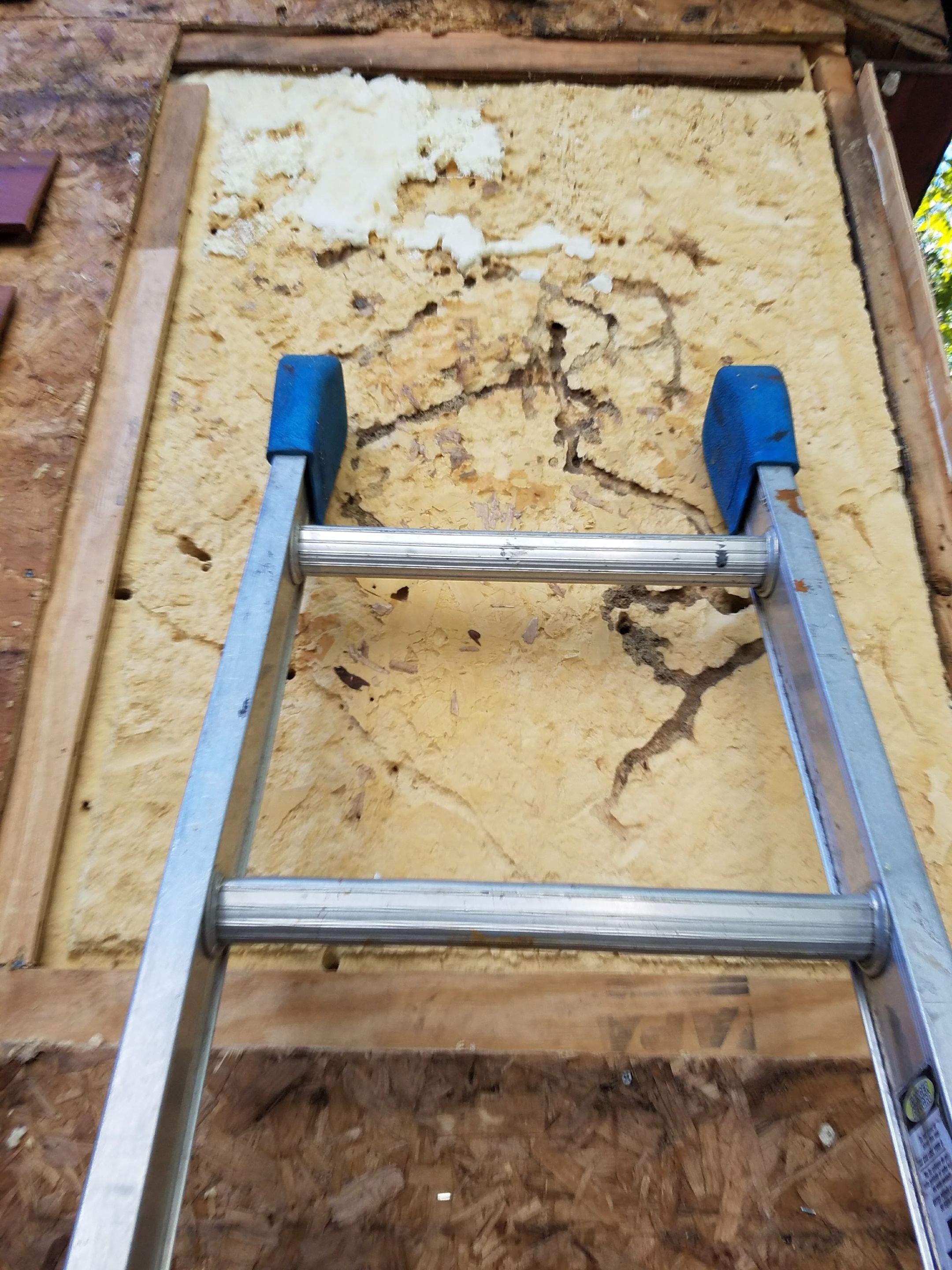 Siding Installation using Cedar Clapboard by Loyalty Exterior Solutions 