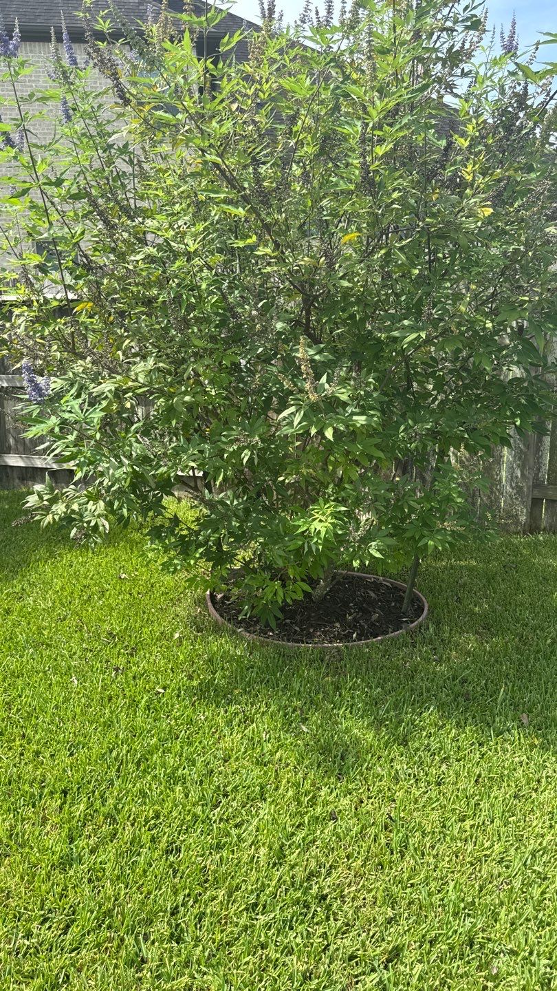 🌿 Mr. Ken’s Front Yard Flower Bed Enhancement by Texas Urban Elements