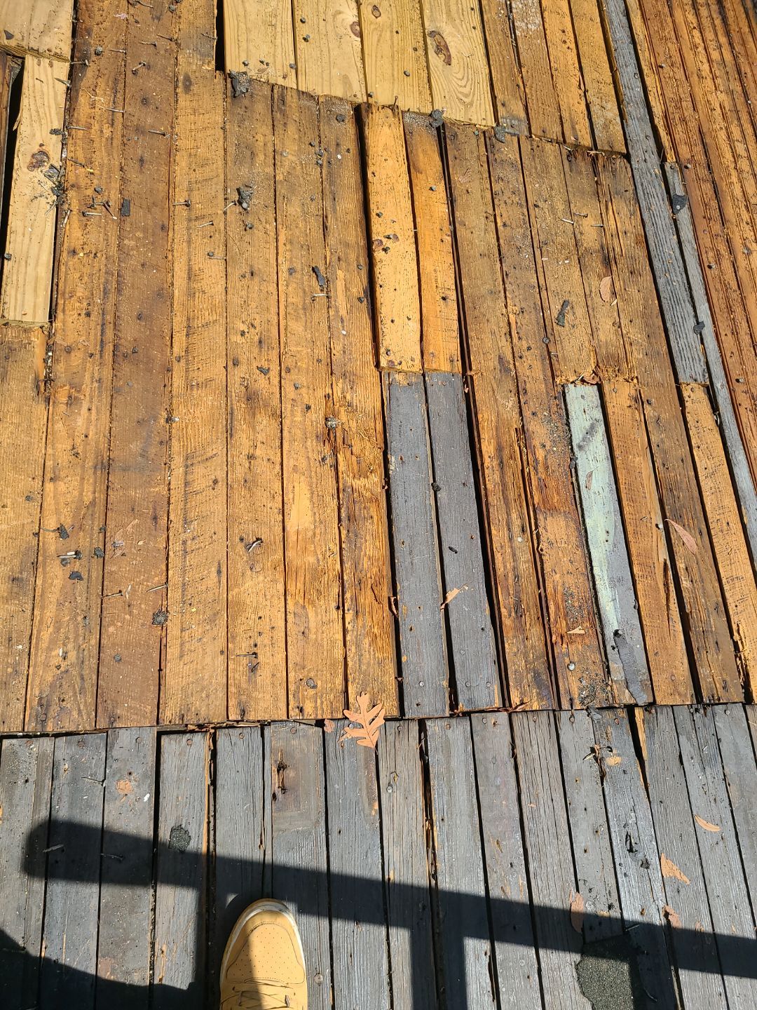 Arlington: CertainTeed Landmark Designer Shingles in Moire Black by RM Banning, Inc.