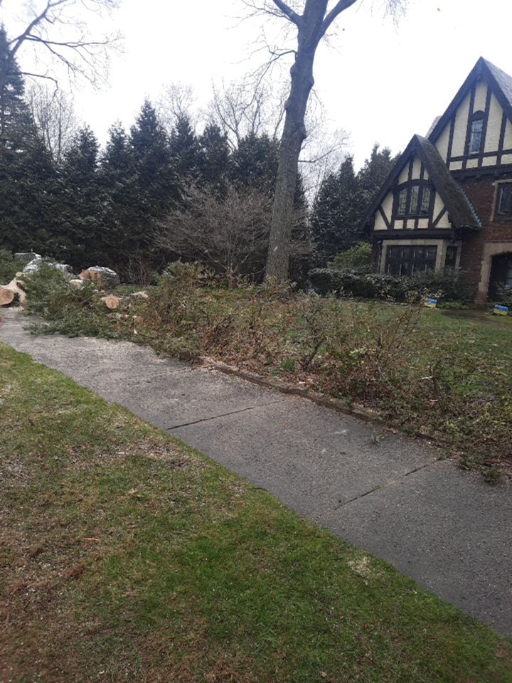 Tree Removal using Tree Removal by Mike Jones & Sons Tree Service LLC 