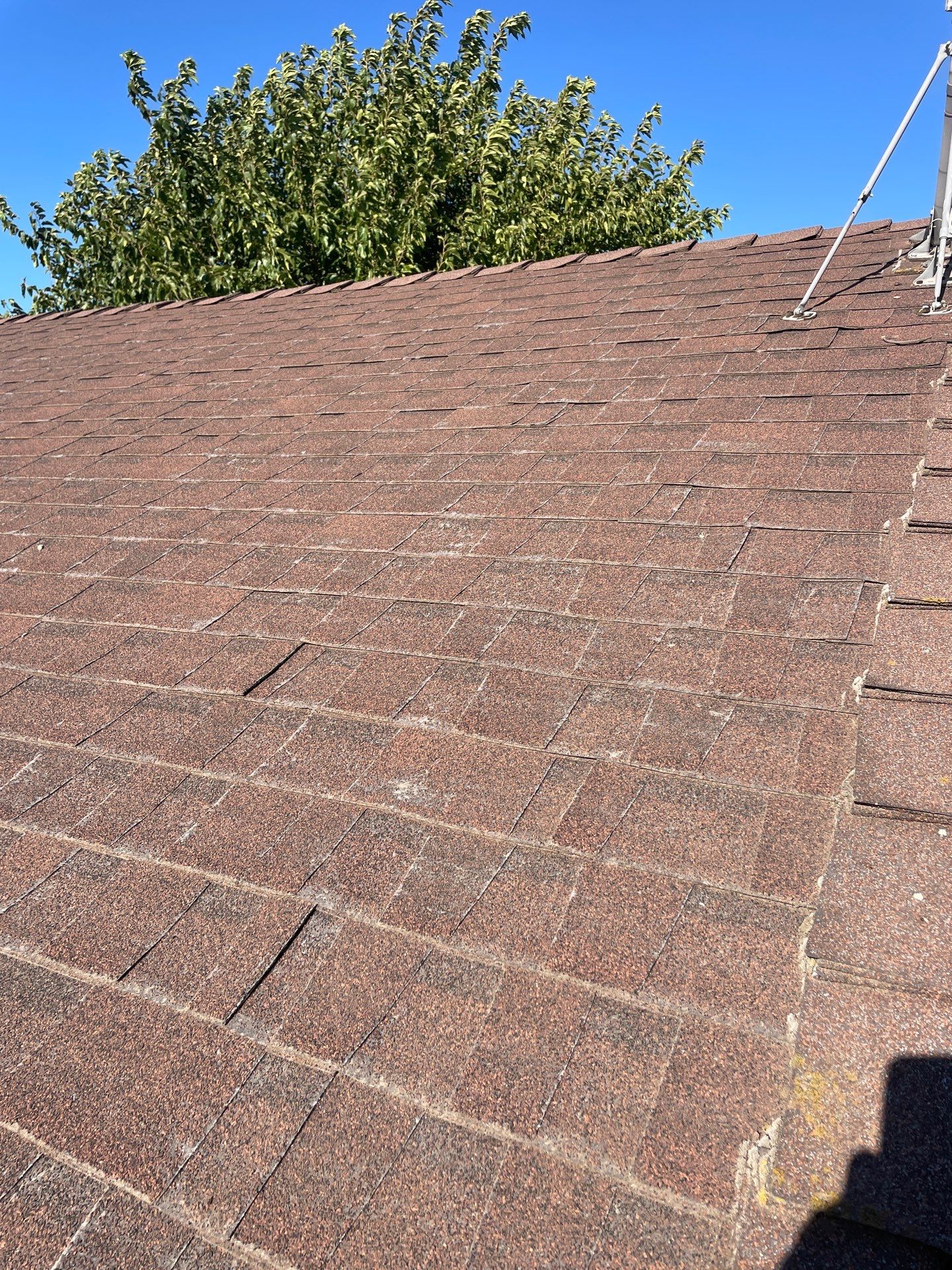 Roof Rejuvenation using Roof Maxx Treatment by Roof Maxx of Folsom