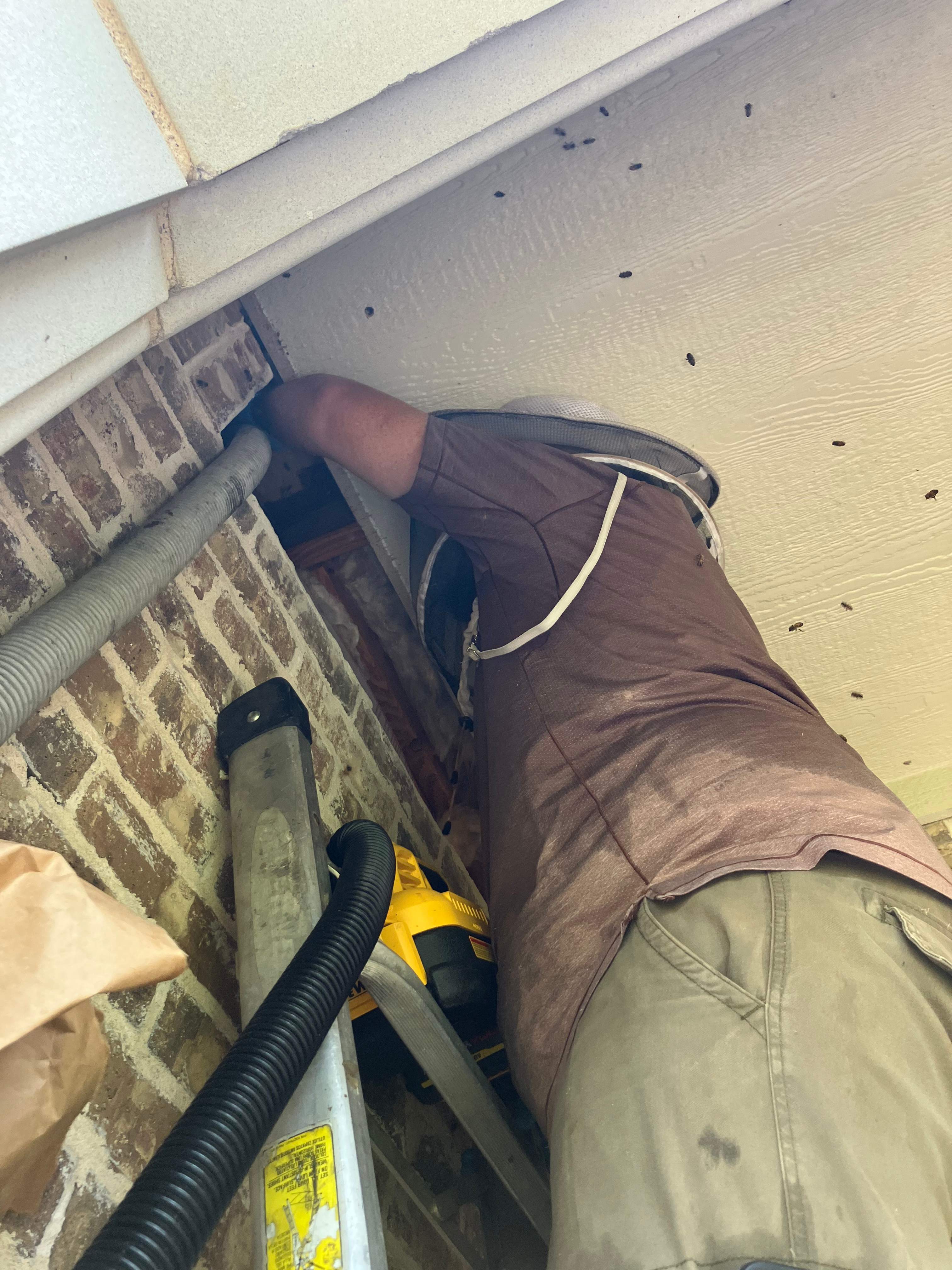 Brick Bees by Rockwall Honey Bee Company