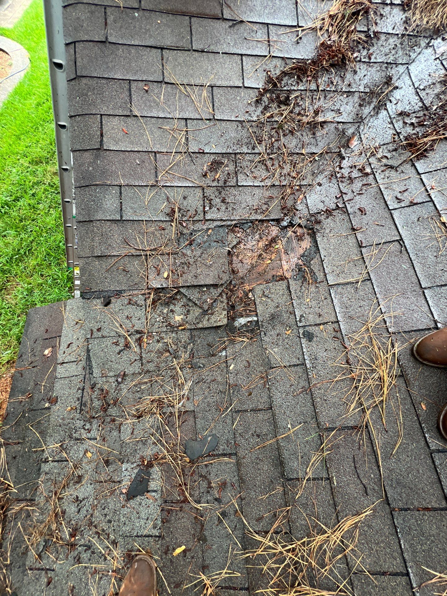 Roof Repair Spring by Roof Repair Company