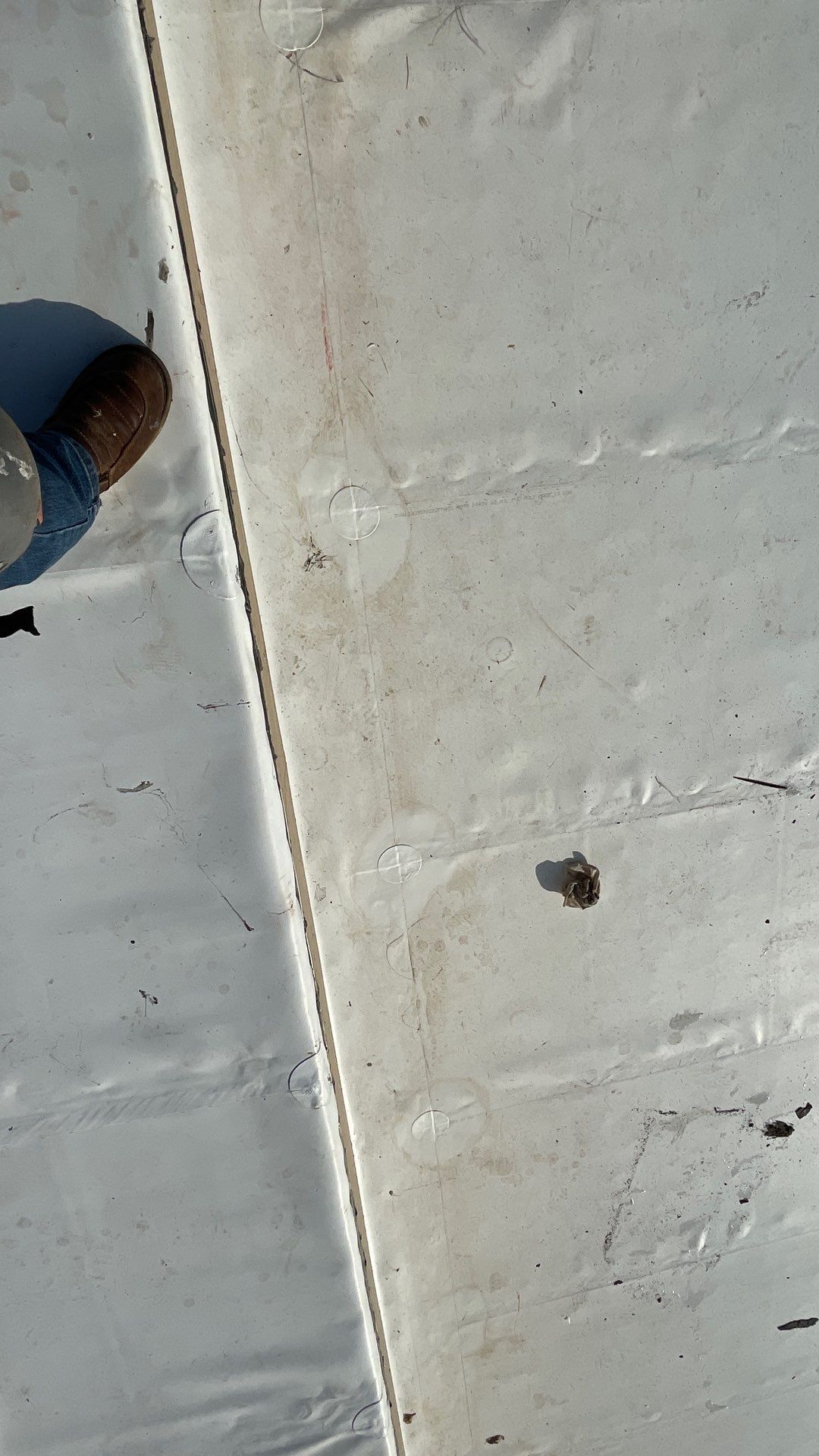 Seashore TPO by Bayfront Roofing and Construction