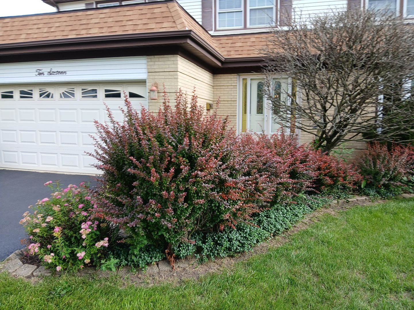 Andrew L. - Arlington Heights, IL by A&N