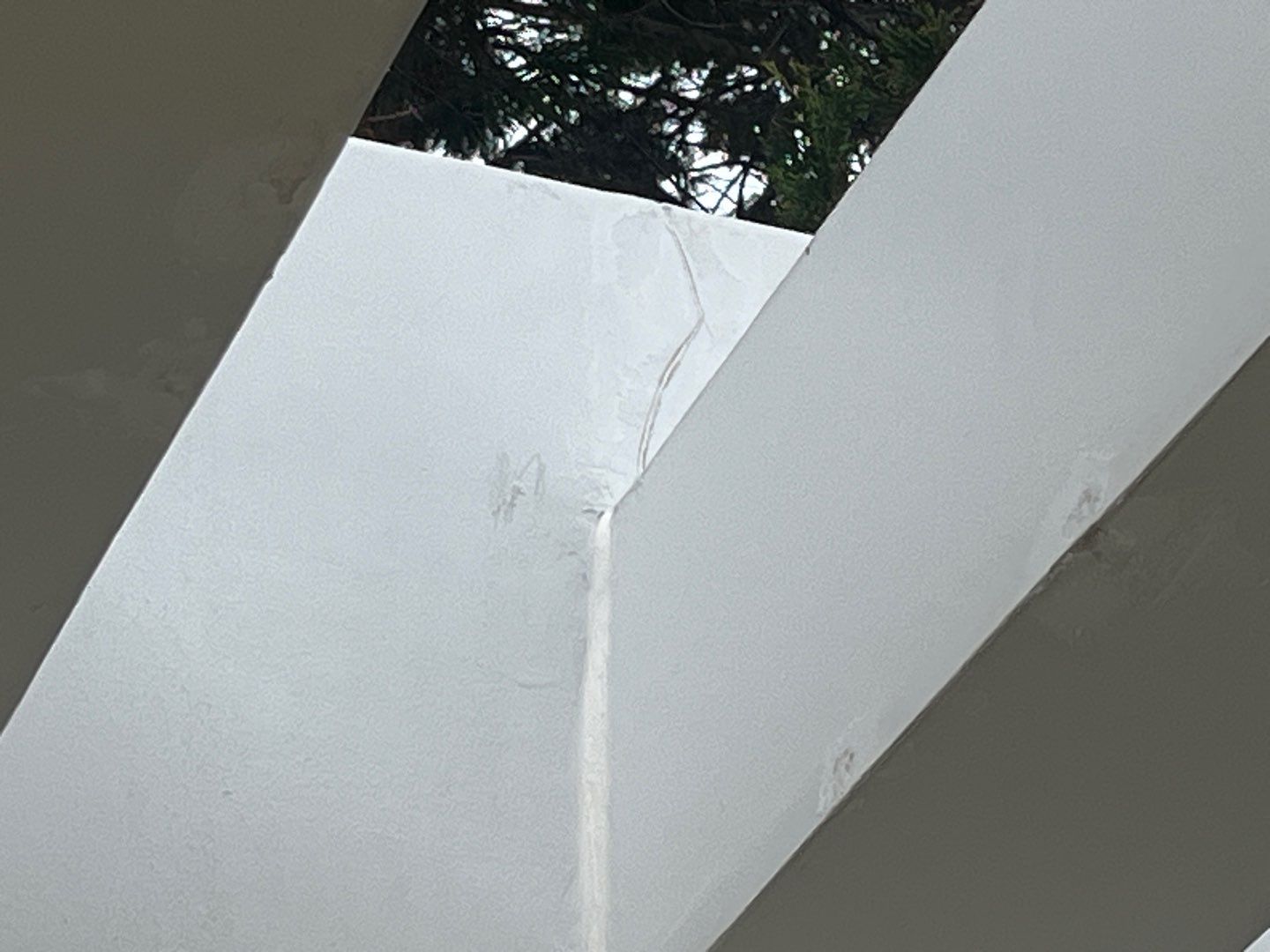 Project in Avalon by Fresh Coat Works LLC