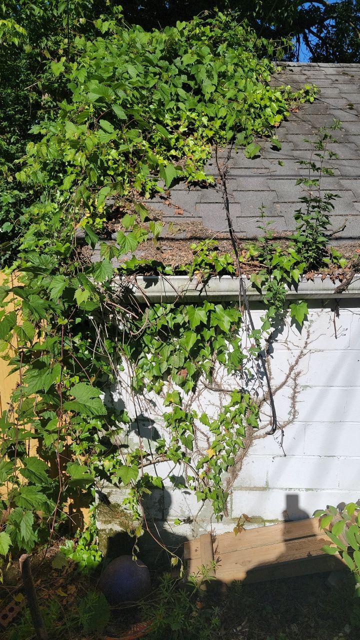 Atlas Pinnacle Color: Printine Scotchgard Black Drip Edge: Black by Eagle Eye Roofing