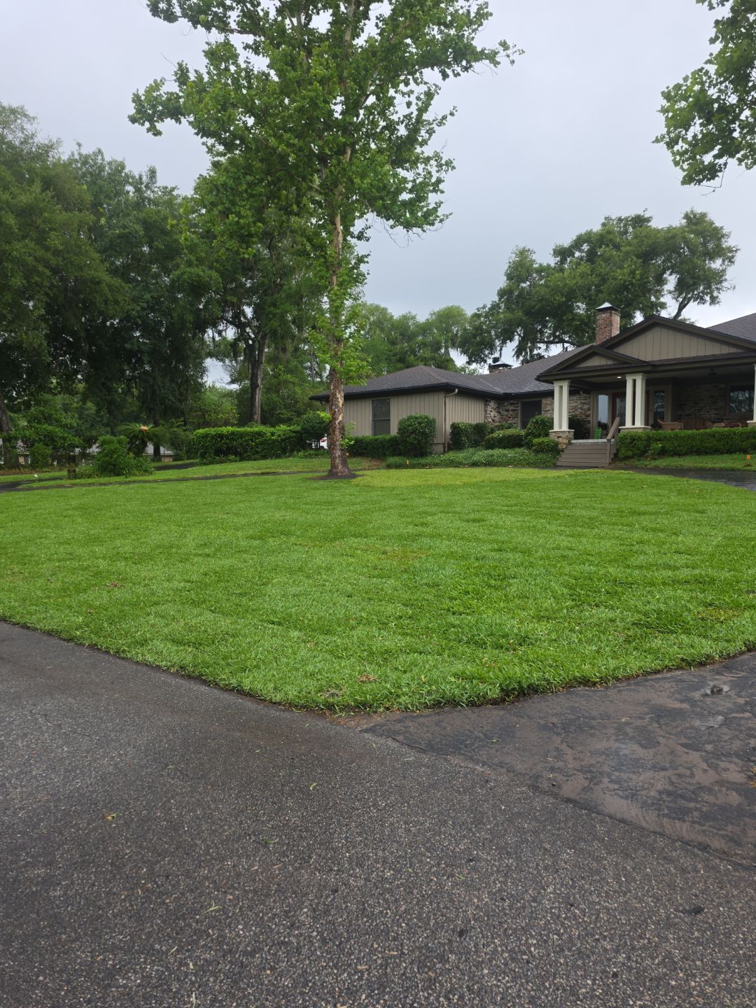 Deerwood Resident | Sod & Plant Install by ProGreen Services