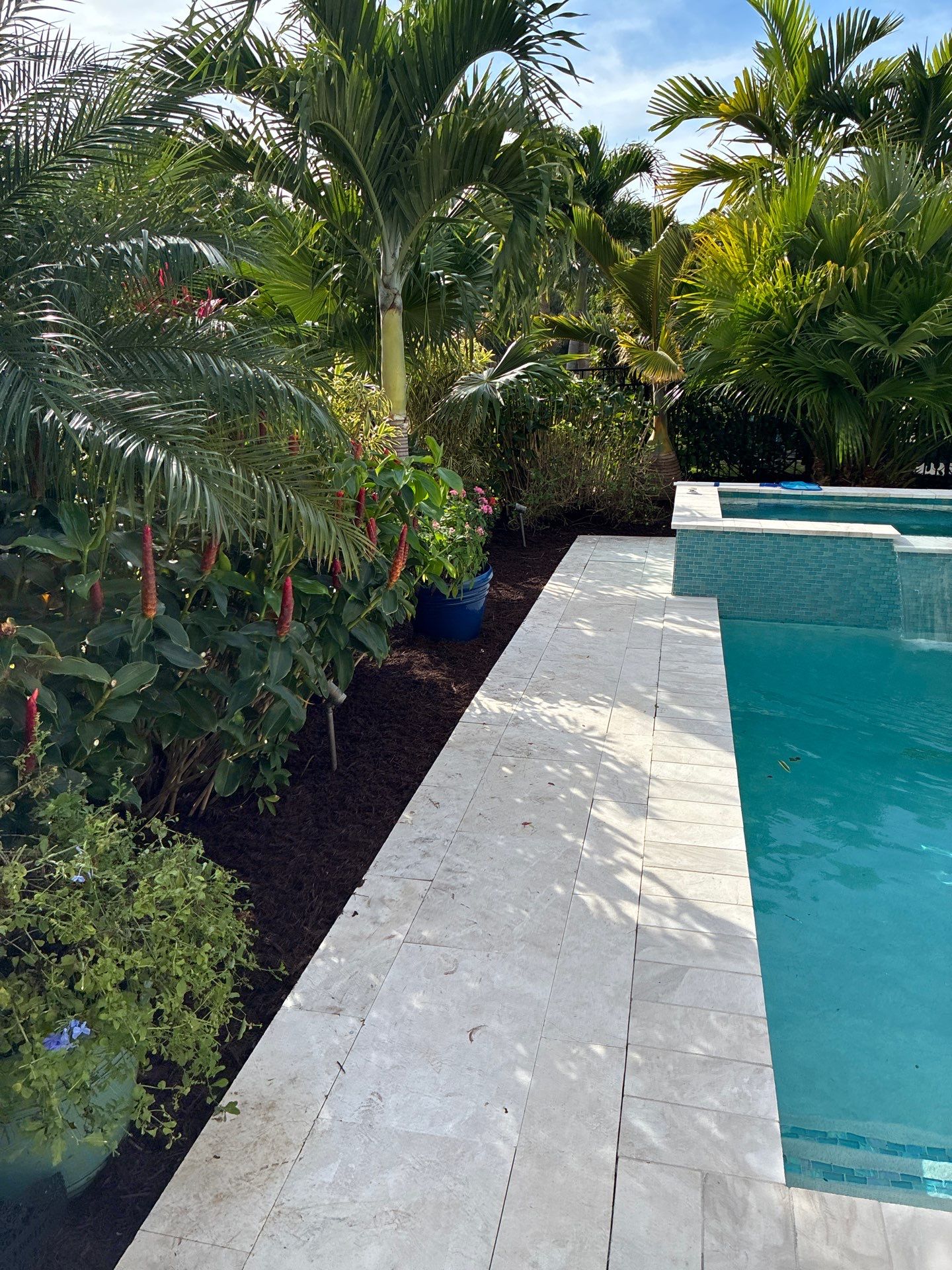 🍃 Berry Park | Detail & Refresh Project  📍 Palm City, Florida by Alpha Zeta Enterprises Inc