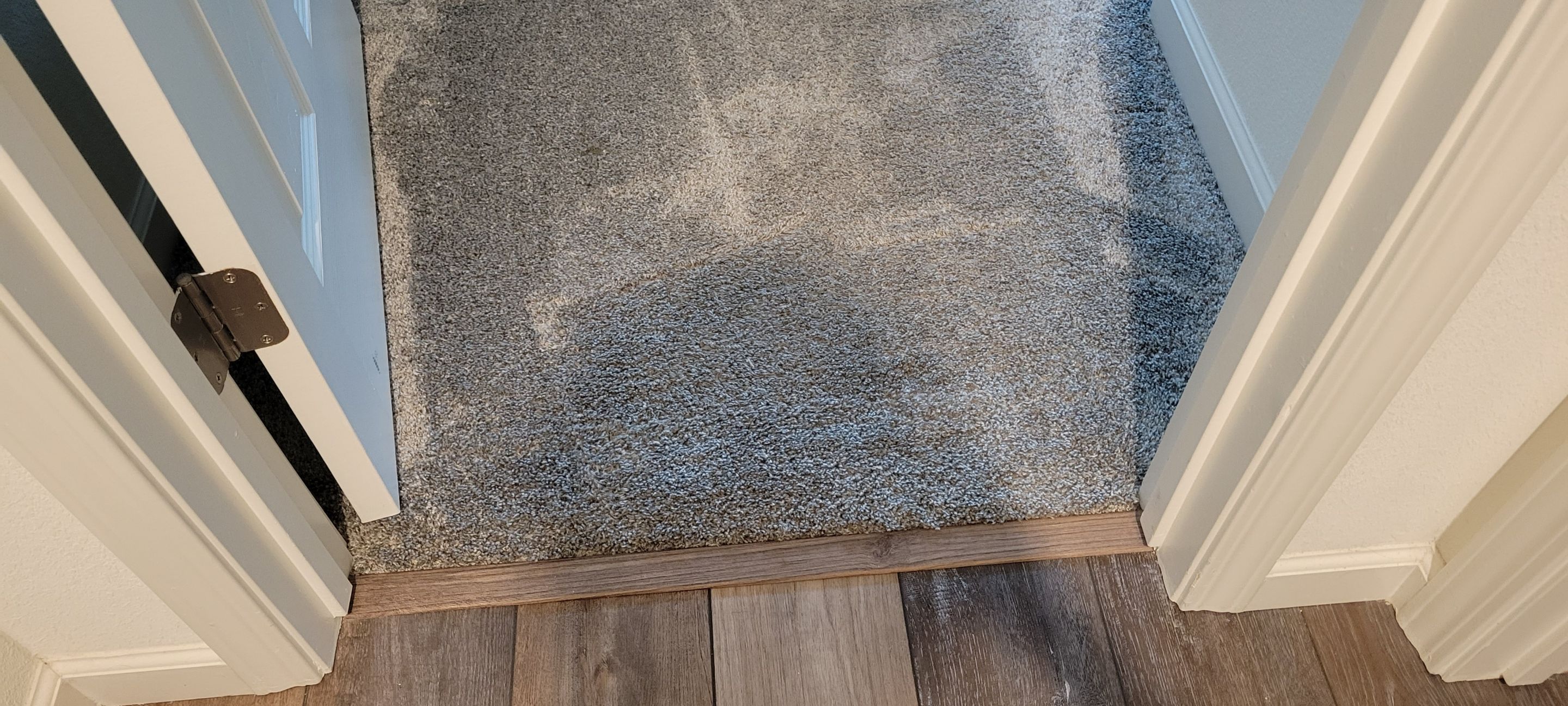 Repairing Carpet Damaged by Cats by Ardent Carpet Restore LLC