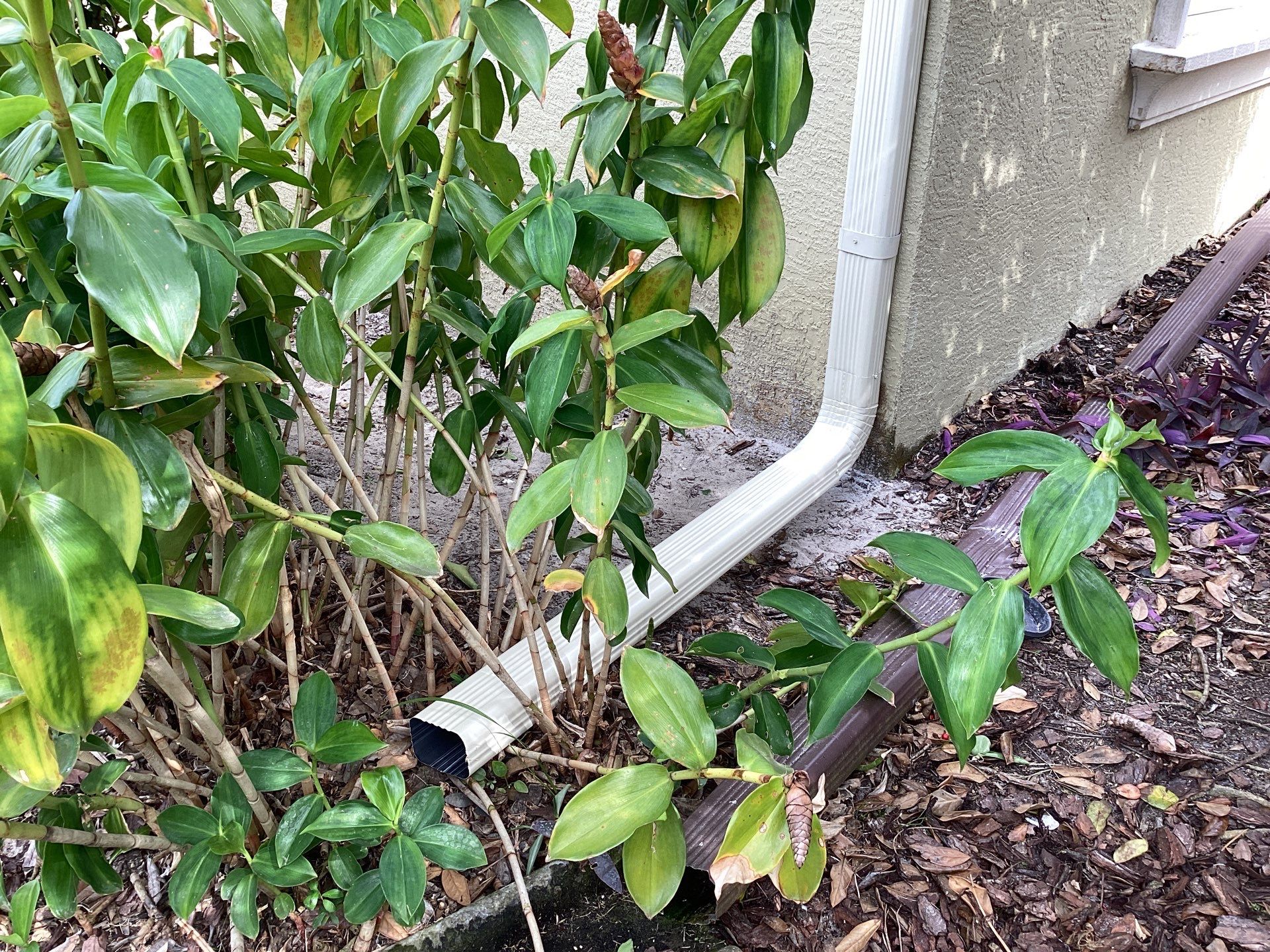 Gutter Project 7 inch seamless gutters using Cameo Gutters in Sarasota FL by Gutter Professors