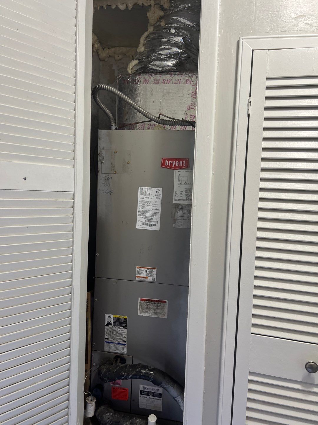 St Petersburg Mold Remediation by Ampm Restoration Services