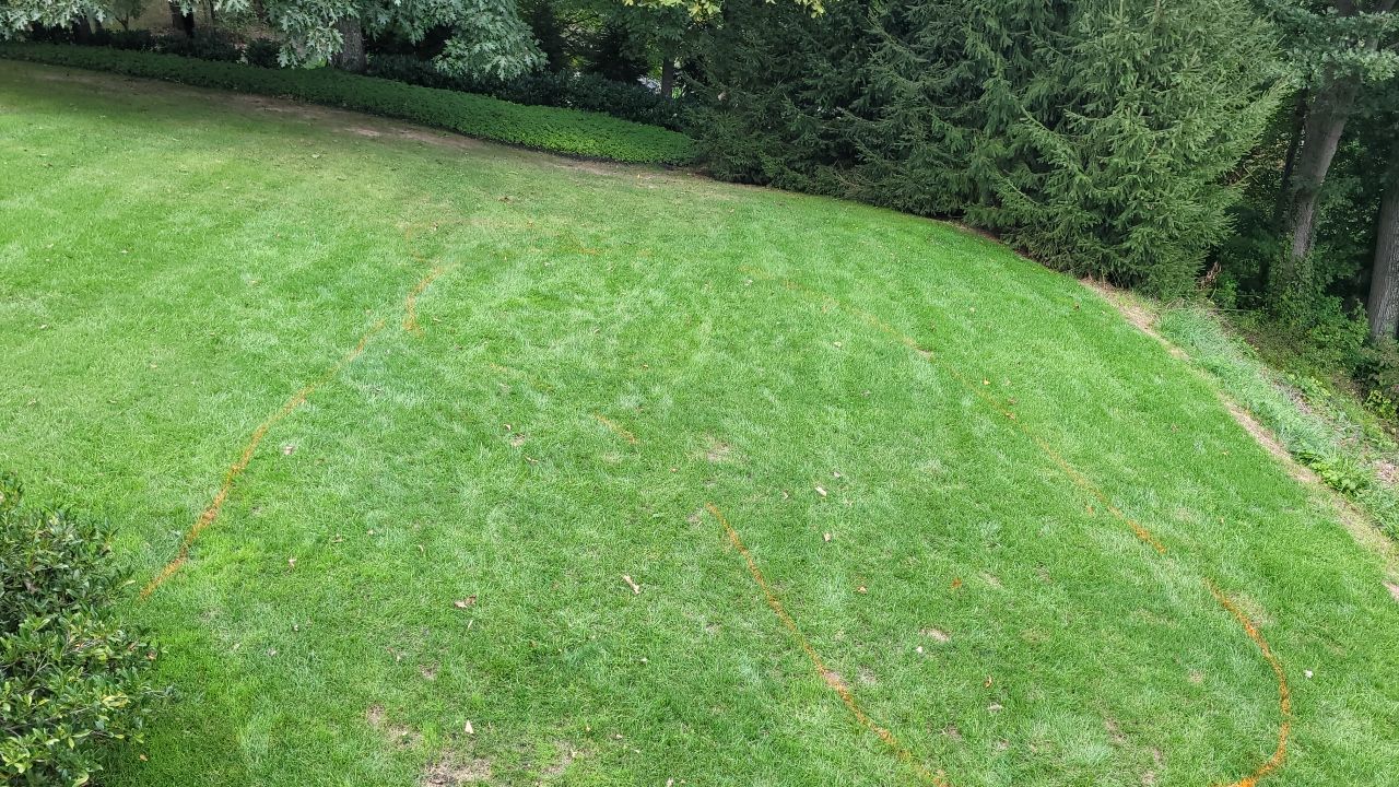 Pool  by Back To Nature Landscaping & Construction