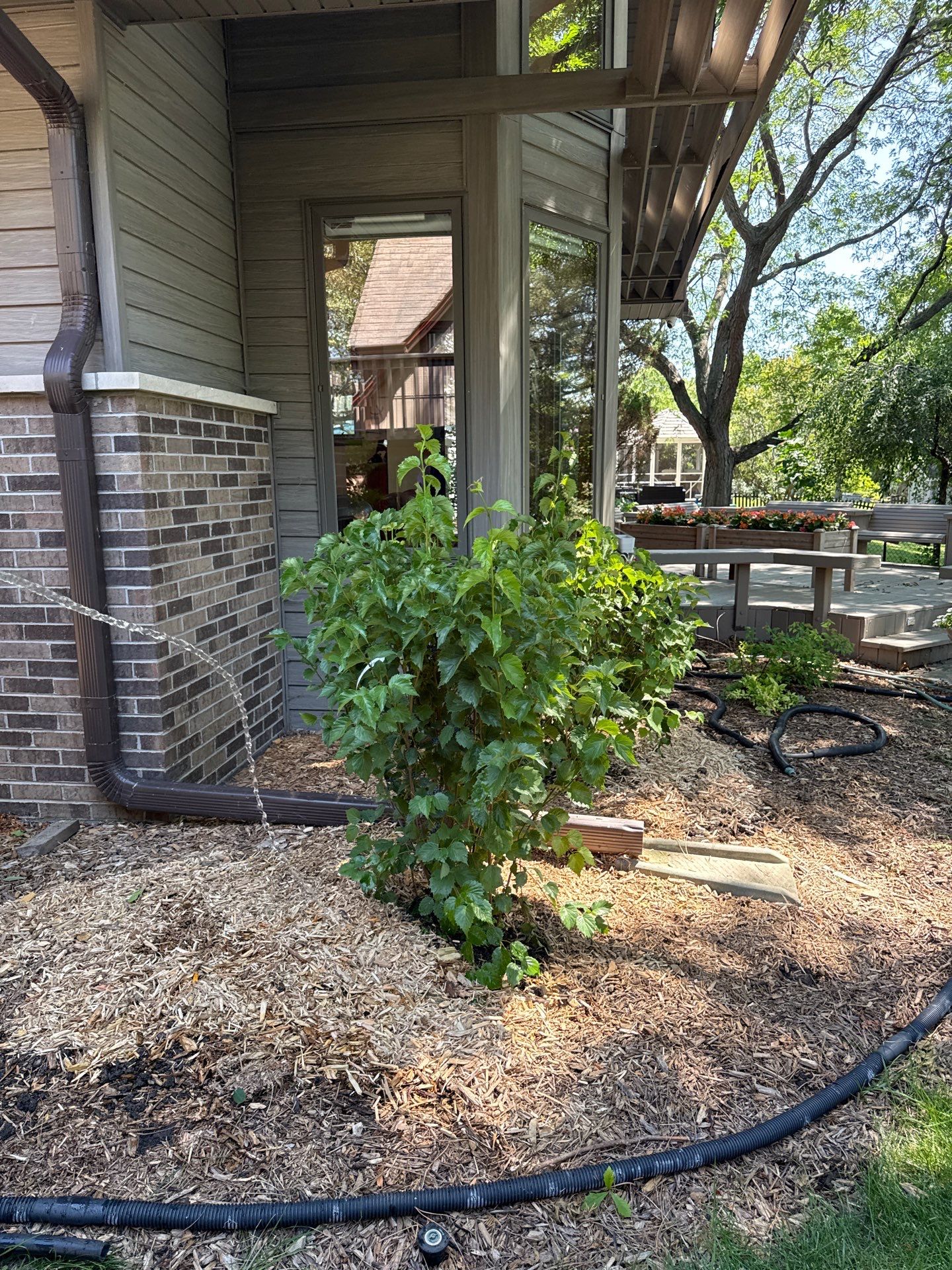 John K. - Arlington Heights, IL by A&N 