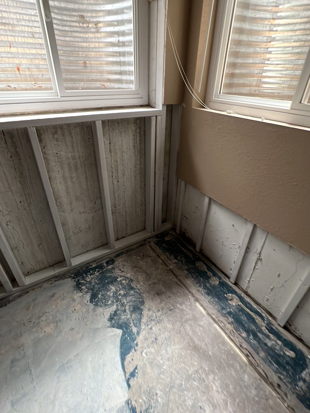 Mold Damage by Accountable Home Services