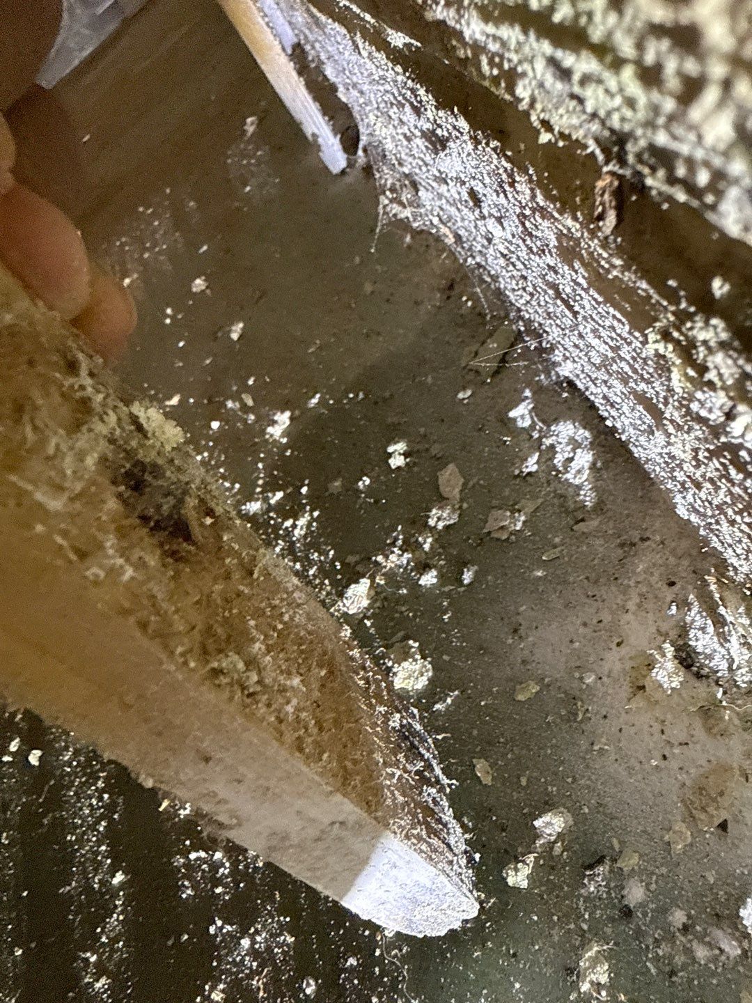 Post‑Remediation Clearance Test & Corrective Mold Remediation, Dover, DE. by Healthy Home Solutions