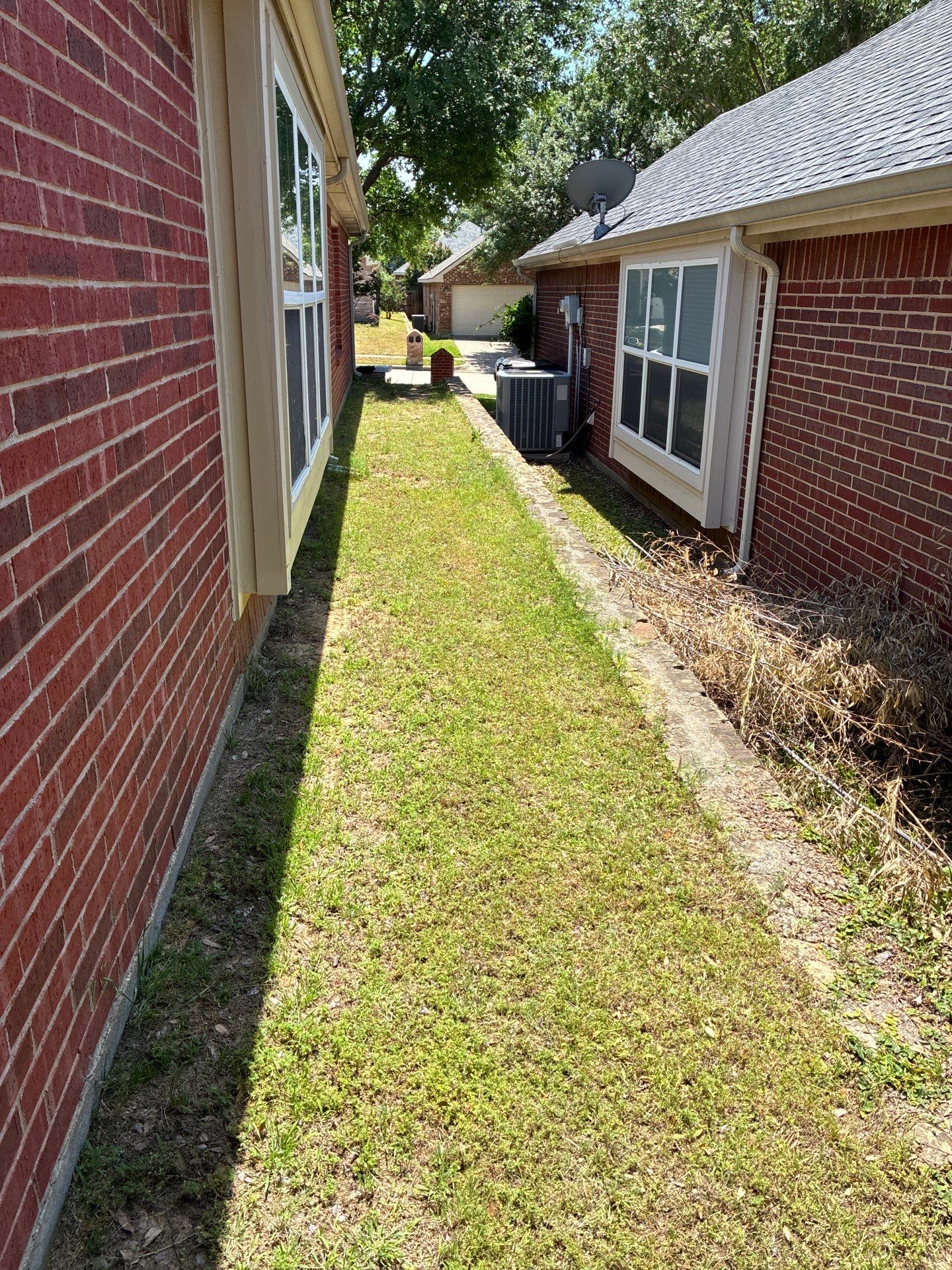 Project in Frisco by Turf Concepts