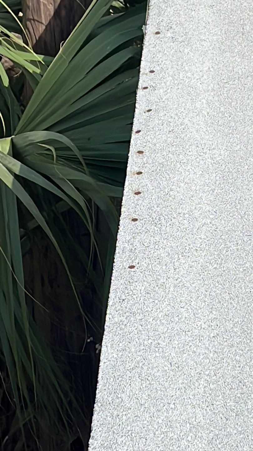Market Street Coating by Bayfront Roofing and Construction