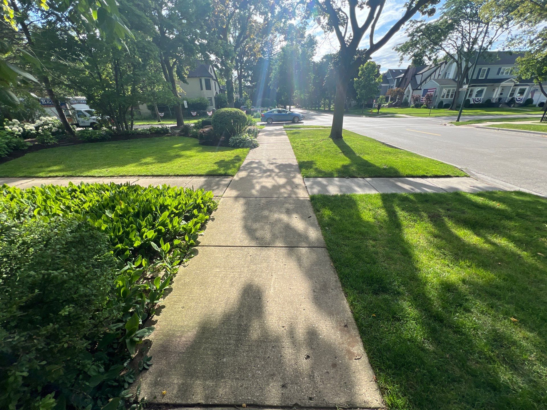 concrete cleaning using Algaecide, soft wash soap by Northern Power Washing LLC.