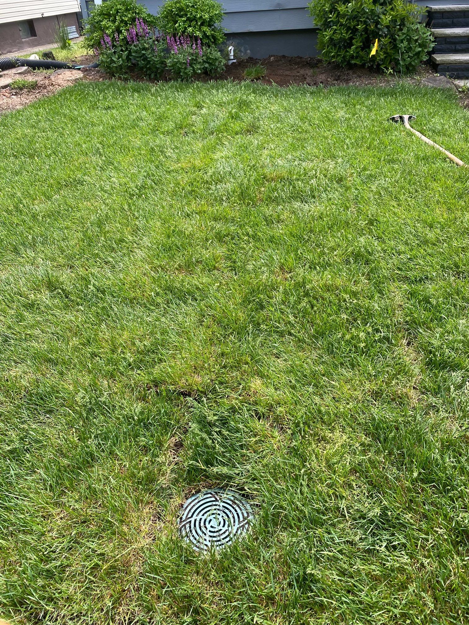 Interior French Drain Job in Lyndhurst, NJ by Pure Service Pro, LLC 