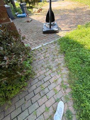 Window Cleaning in Springfield, NJ — Gallo Bros job photo