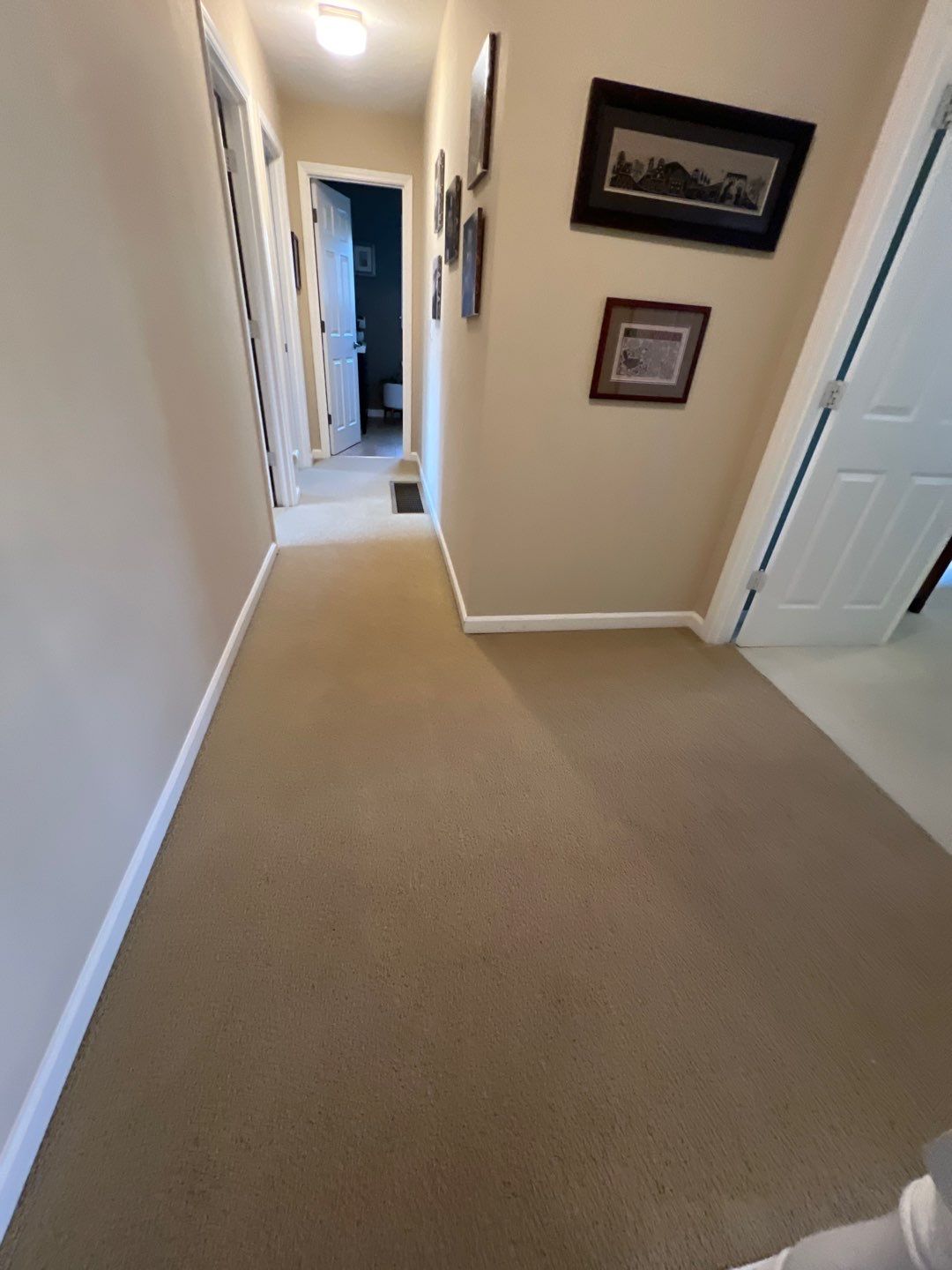 Carpet and Upholstery Cleaning in West Linn by Cloud 9 Professional Cleaning Services