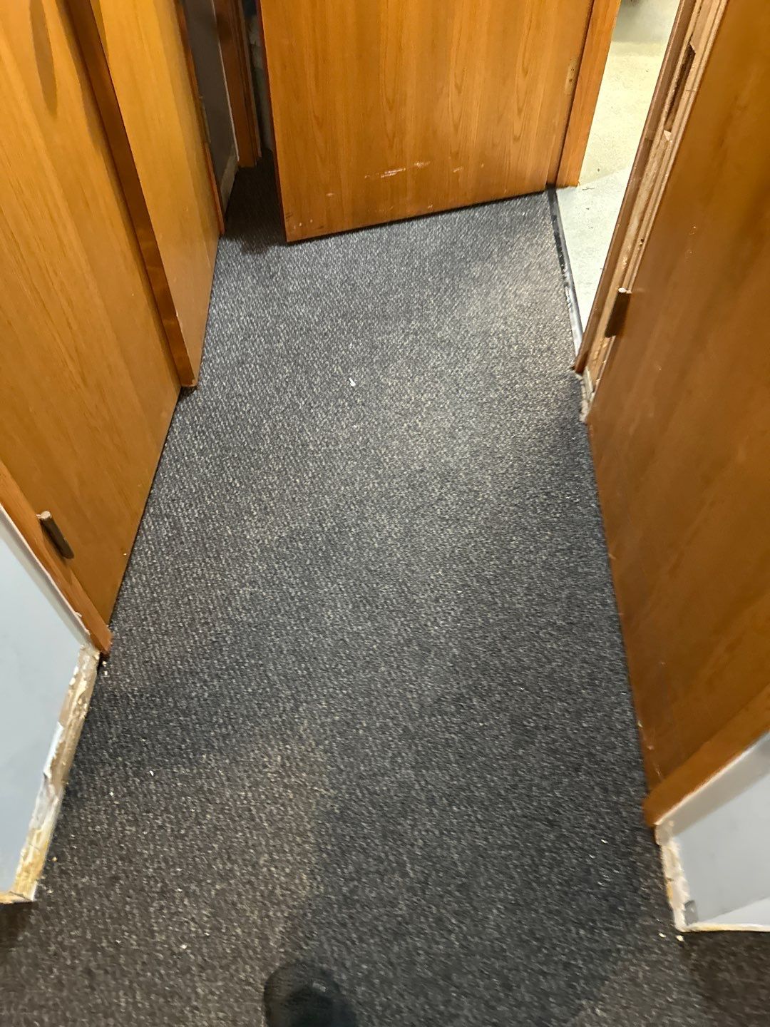 Project in Ann Arbor by EzDry Water Mitigation & Property Restoration