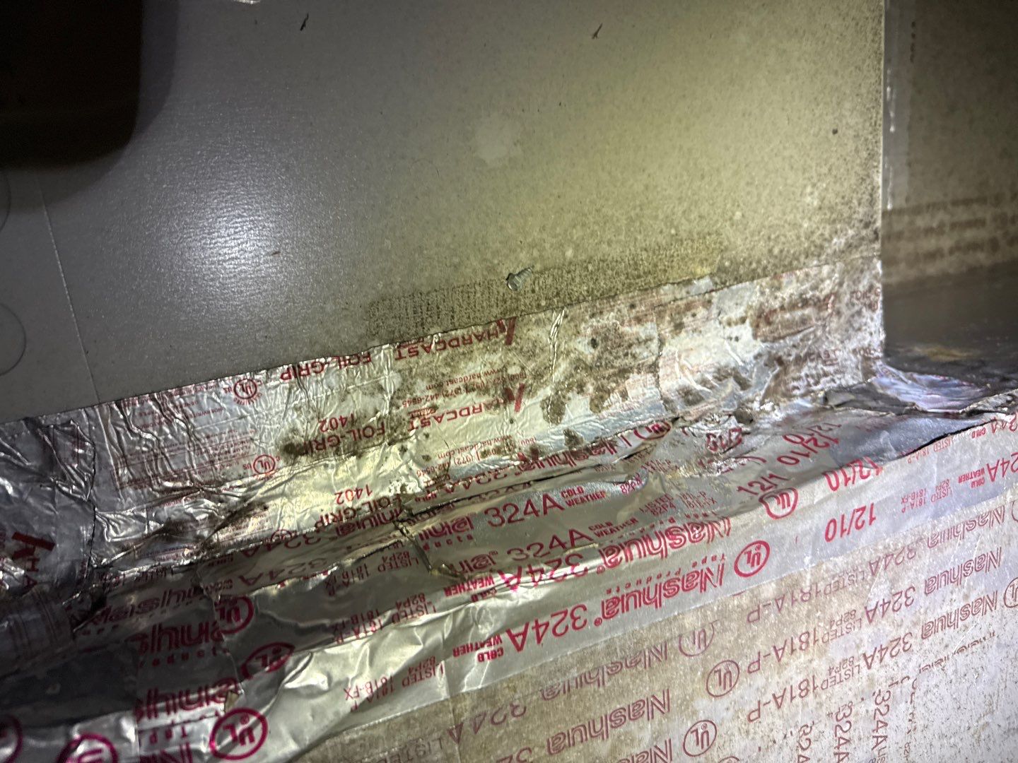Mold in Air Ducts Remediation by Healthy Home Solutions