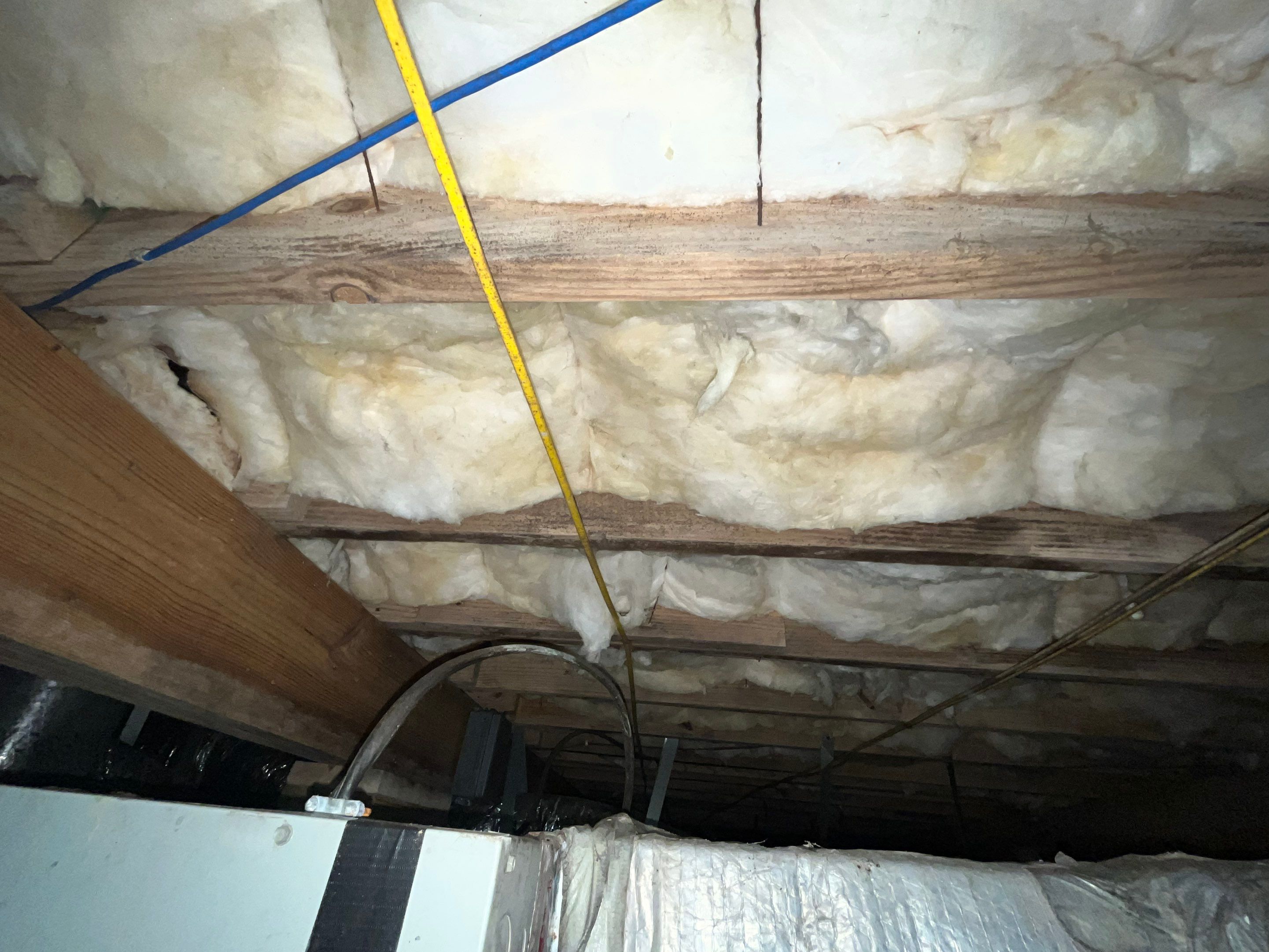 Impact Choice Encapsulation with French Drain, Mold Removal, and Crawlspace Door by Impact Crawlspace