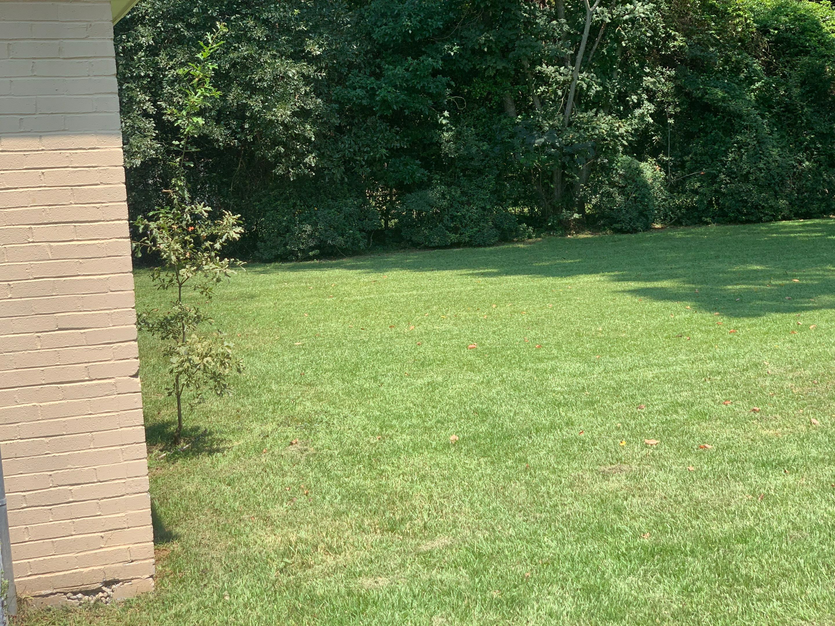 Yard Makeover by College Bros Outdoor services