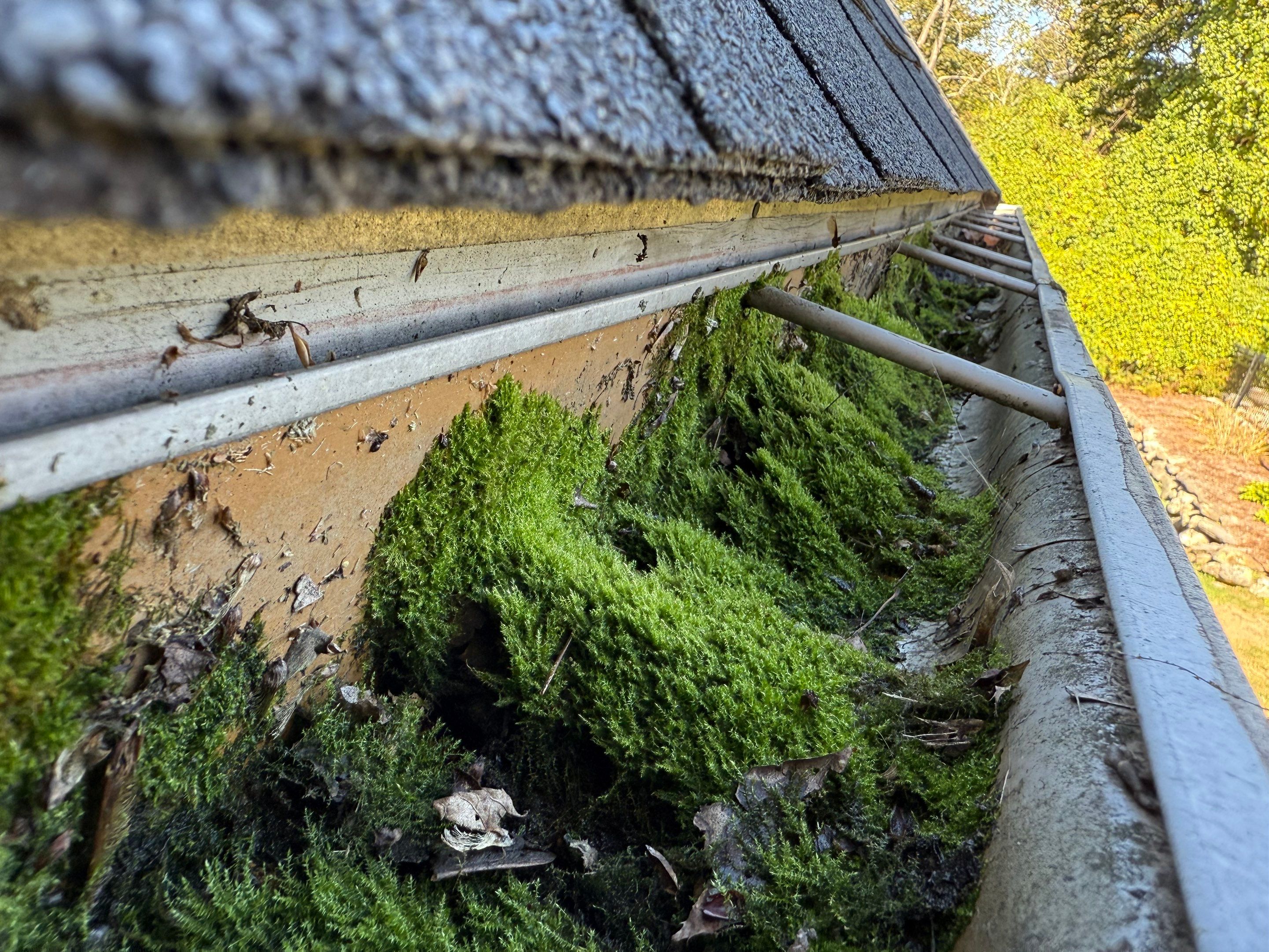 Westford Complete Gutter System with New PVC Fascia Upgrade by Mighty Dog Roofing of Greater Middlesex County