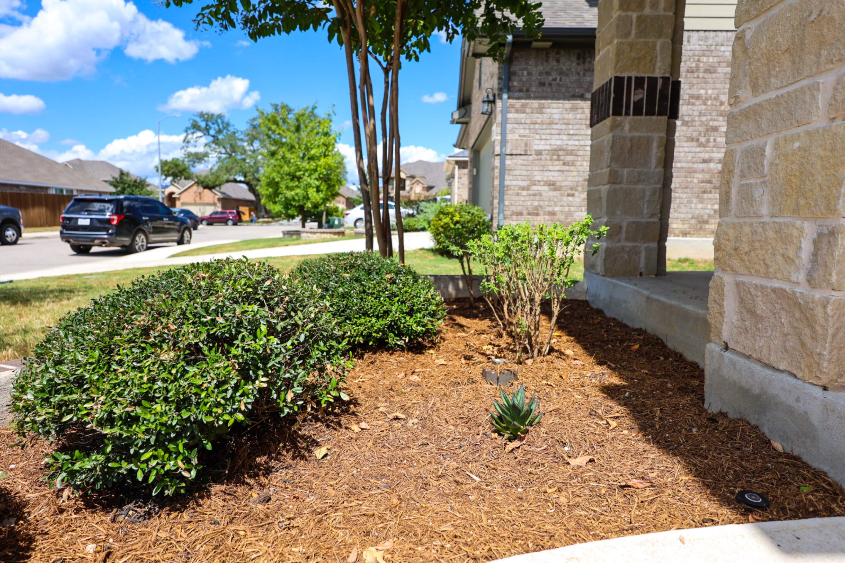 Wortham Oaks - San Antonio, TX by Hole In One Lawns, LLC