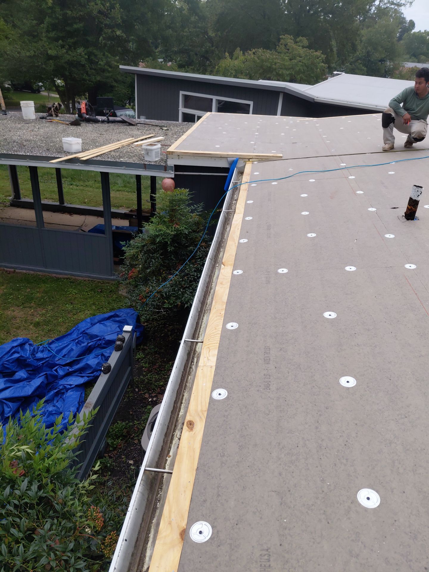 Falls Church :  TPO by RM Banning, Inc.