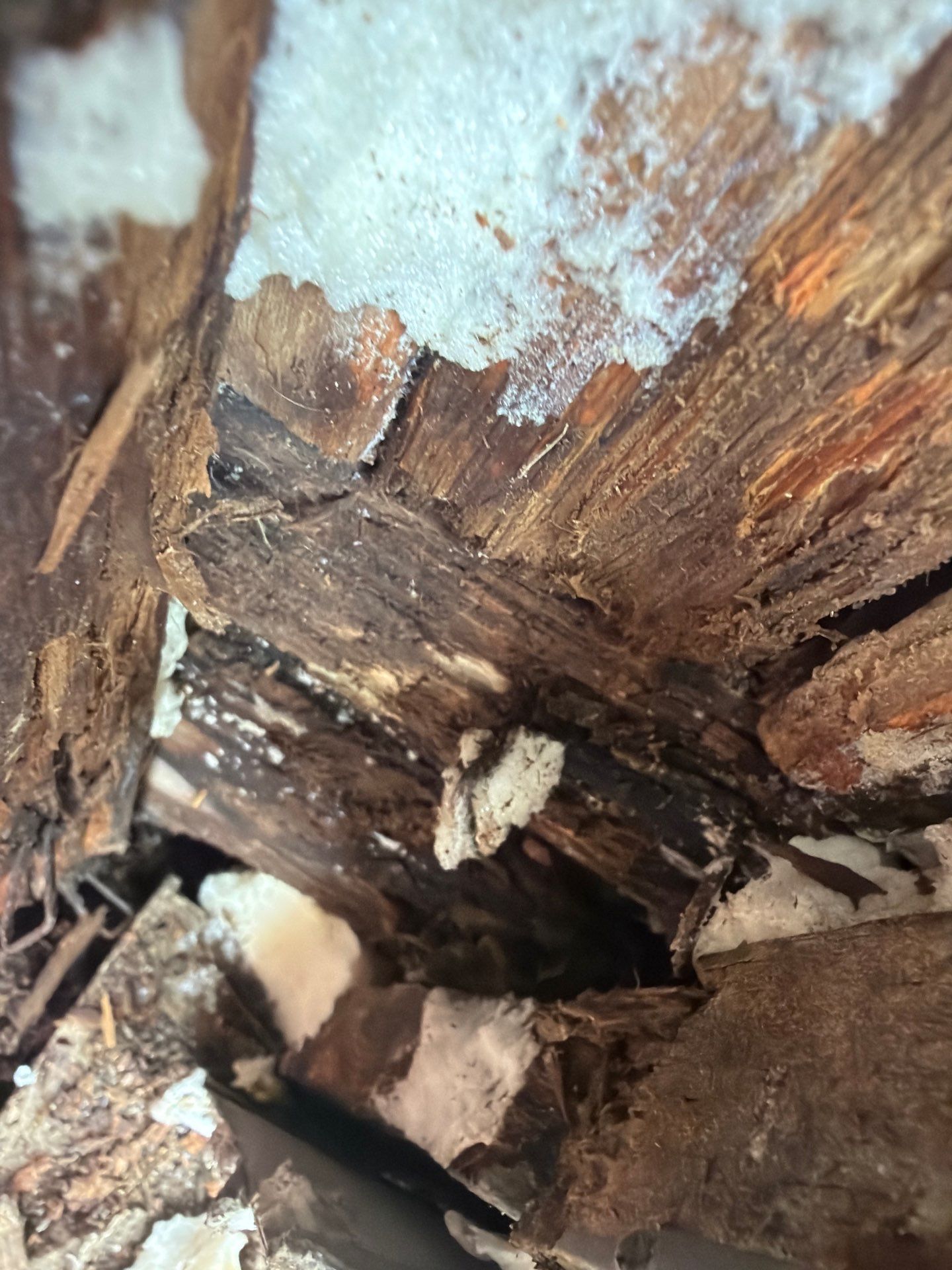 Siding Replacement using Wood Grain by 180 Contractors