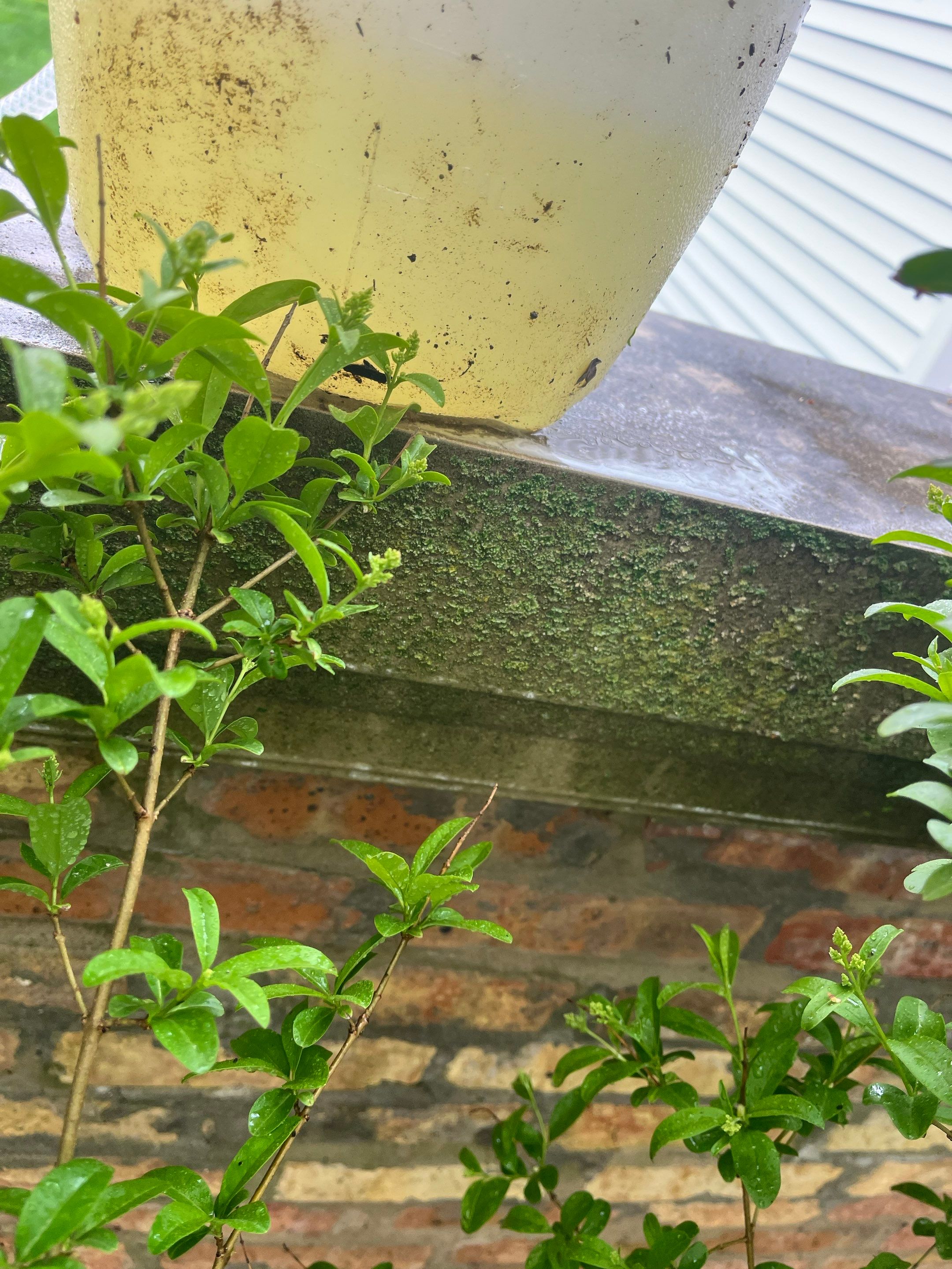 Brick repair, CSS, and stone cleaning by Northern Power Washing LLC.