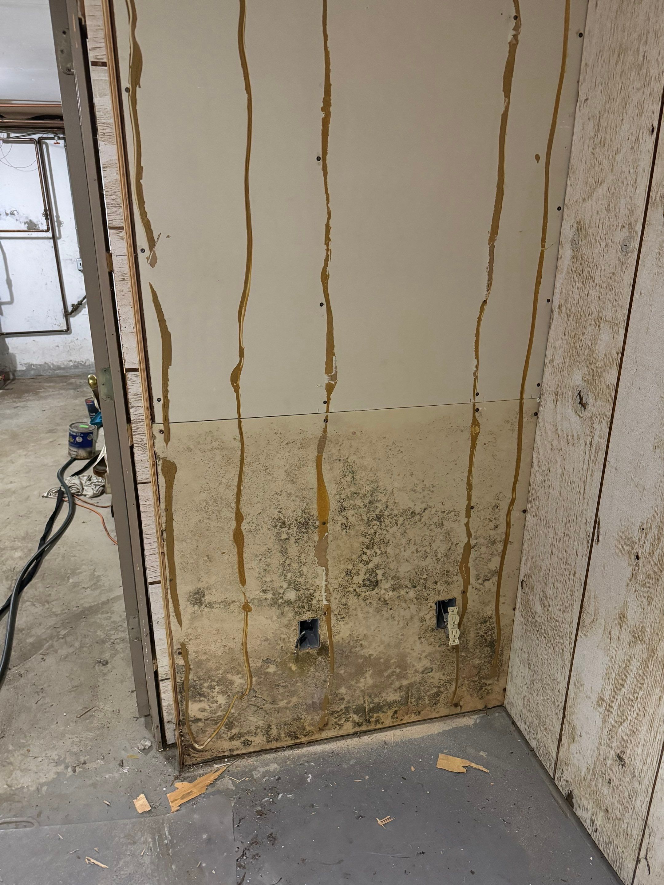 Basement Mold Remediation by Home Guarantee, LLC