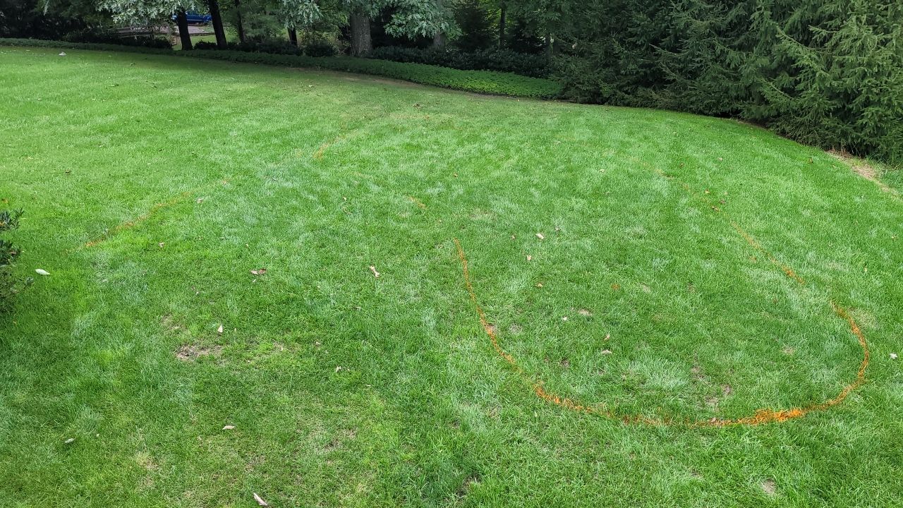 Pool  by Back To Nature Landscaping & Construction