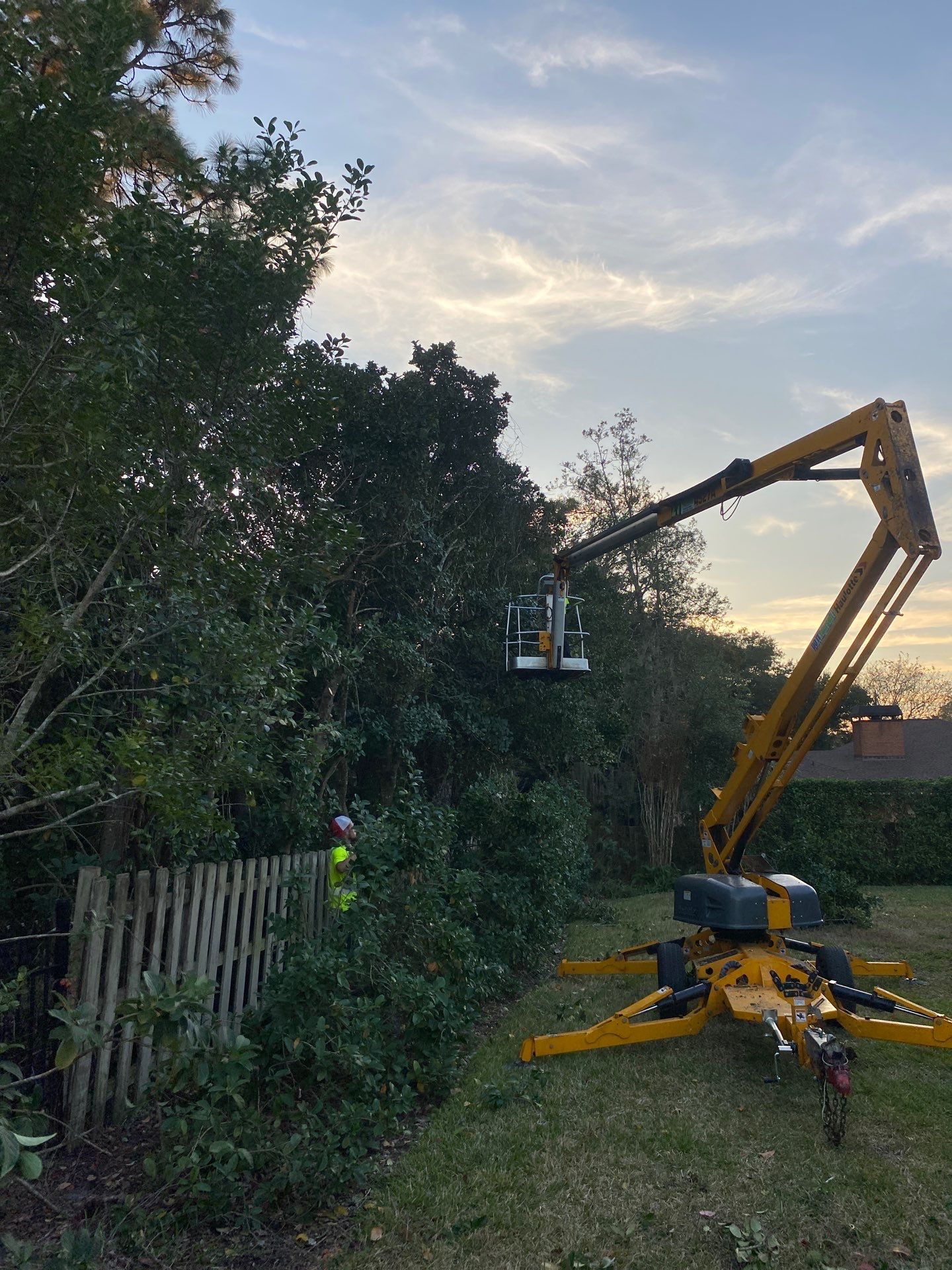 Deerwood Resident | Tree Removal & Shrub Shaping by ProGreen Services