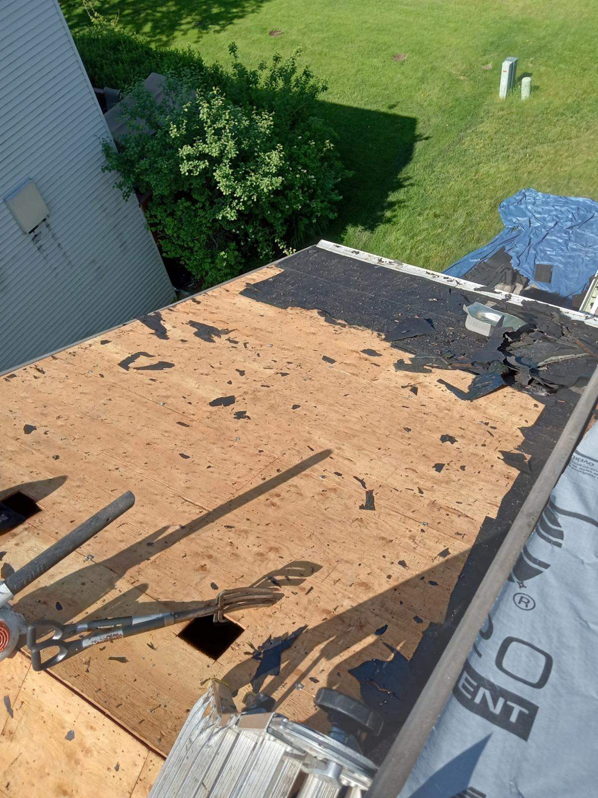 mohsen by storm restoration services inc