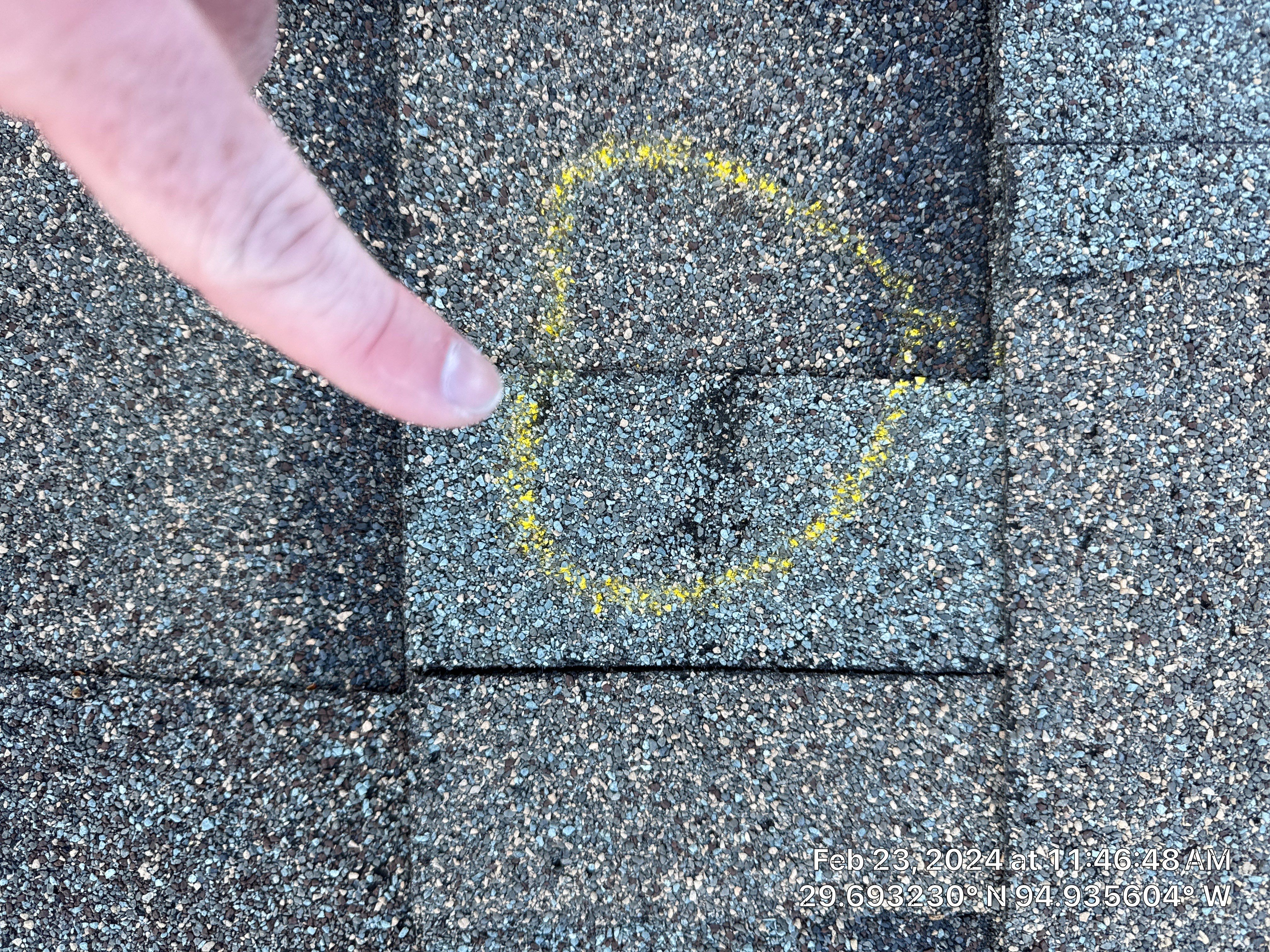 Hail Damage by Southern Belle