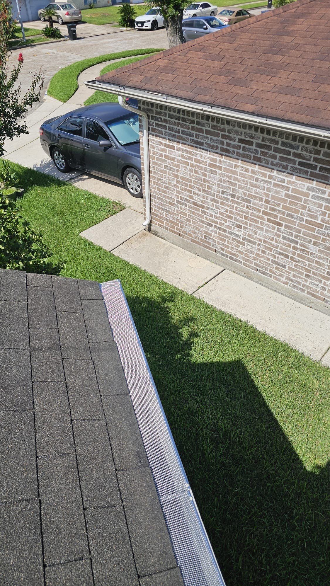🌟 Ann Randolph’s Complete Outdoor Makeover by Texas Urban Elements