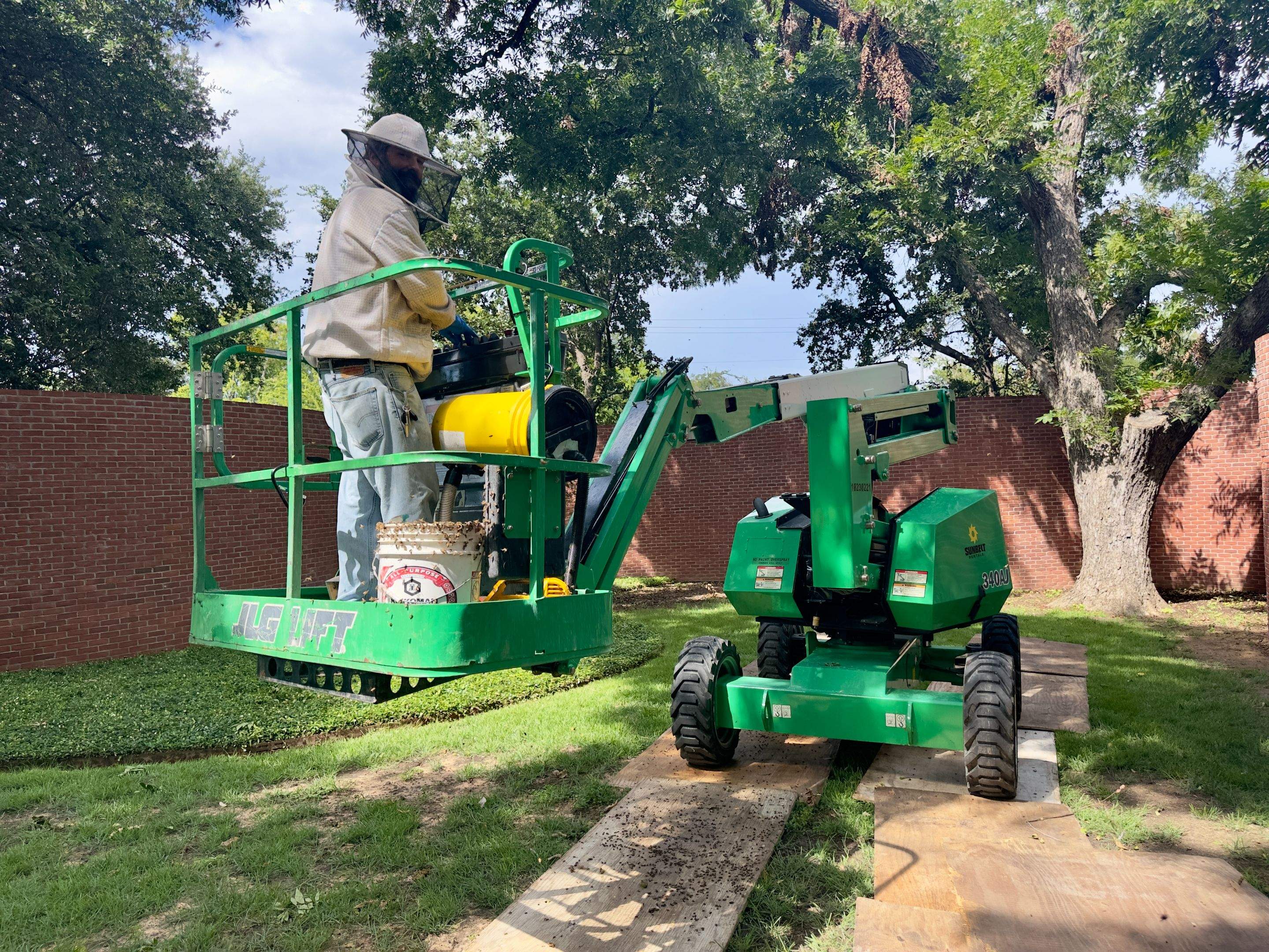 Open-Air Massive Colony by Rockwall Honey Bee Company