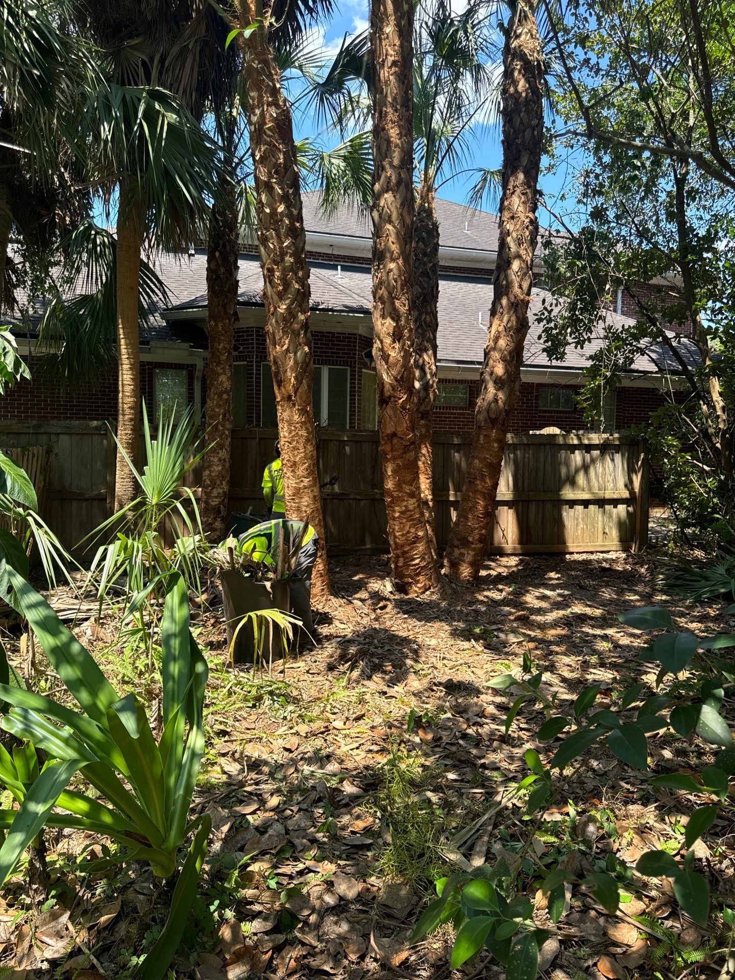 Deerwood Resident | Palm Tree Trimming & Booting by ProGreen Services