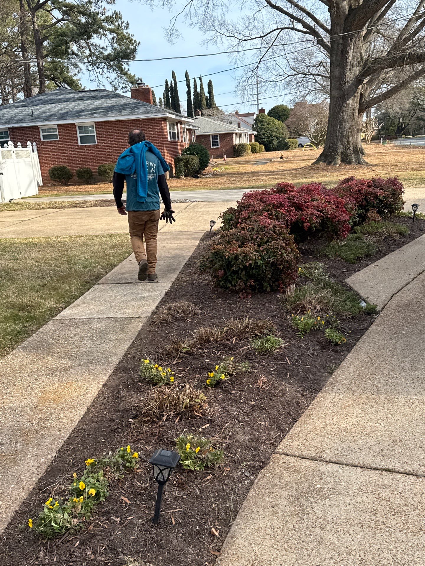 Gardens by Oz featured photo.